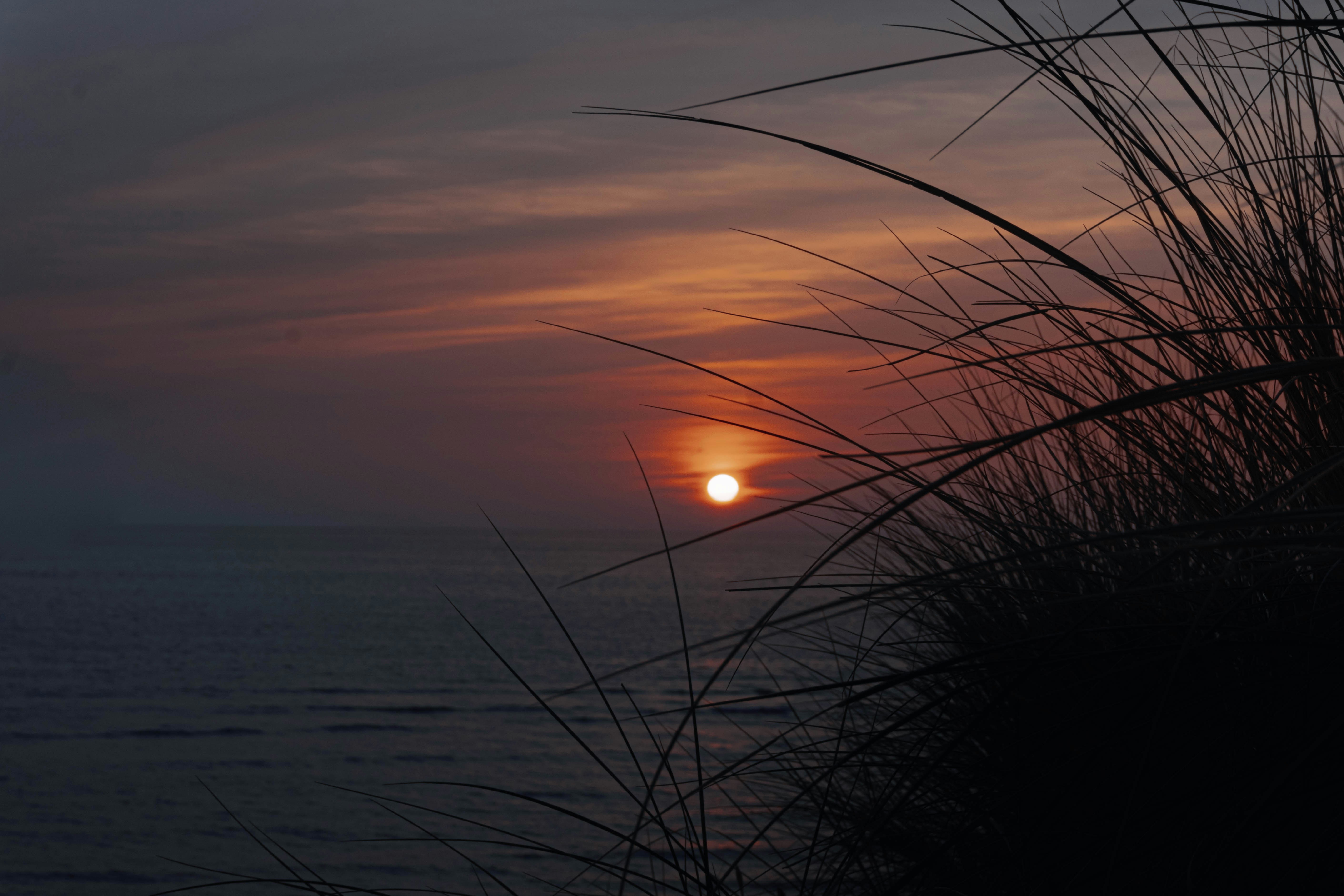 Photo by photographybymat_26