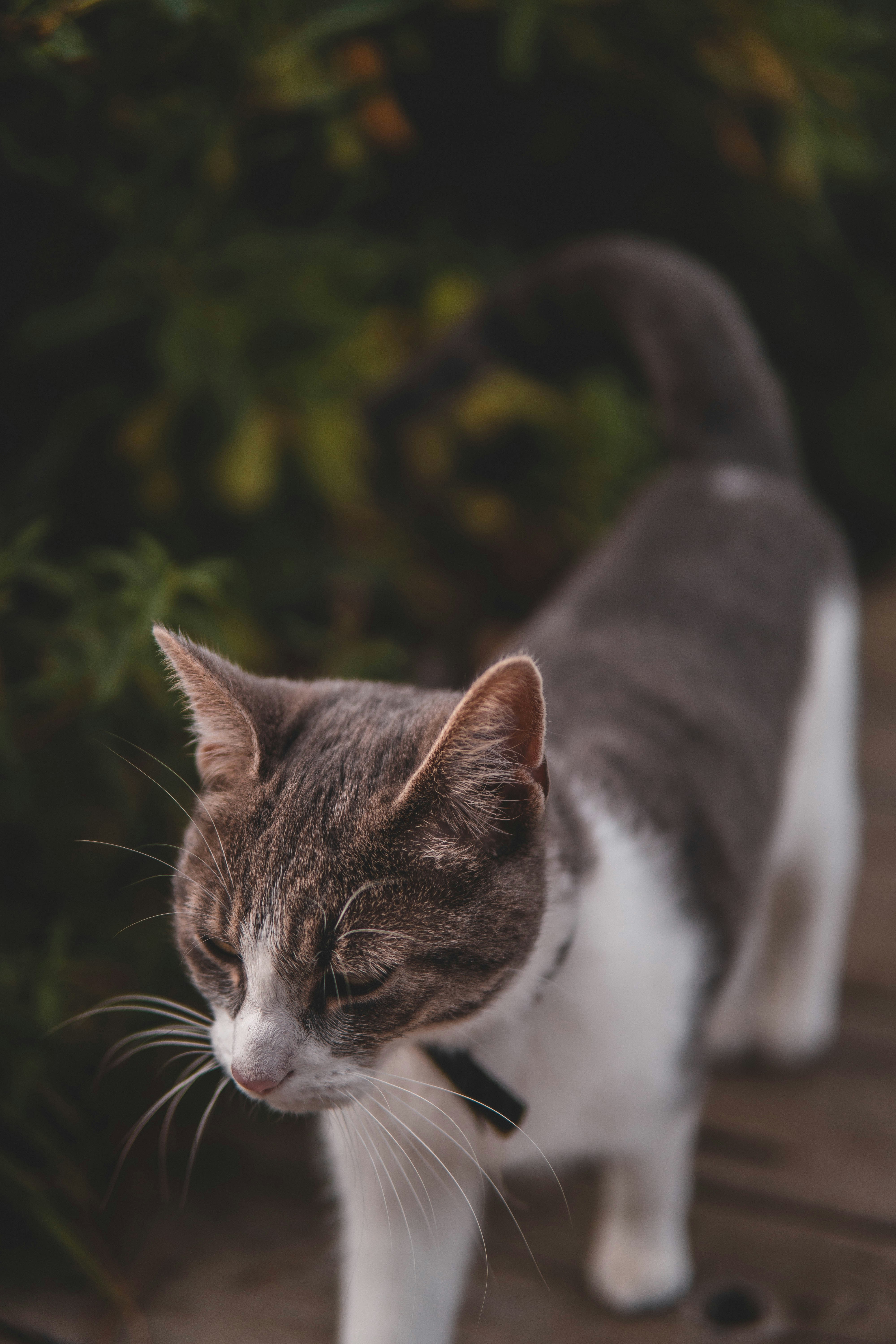 Photo by photographybymat_26