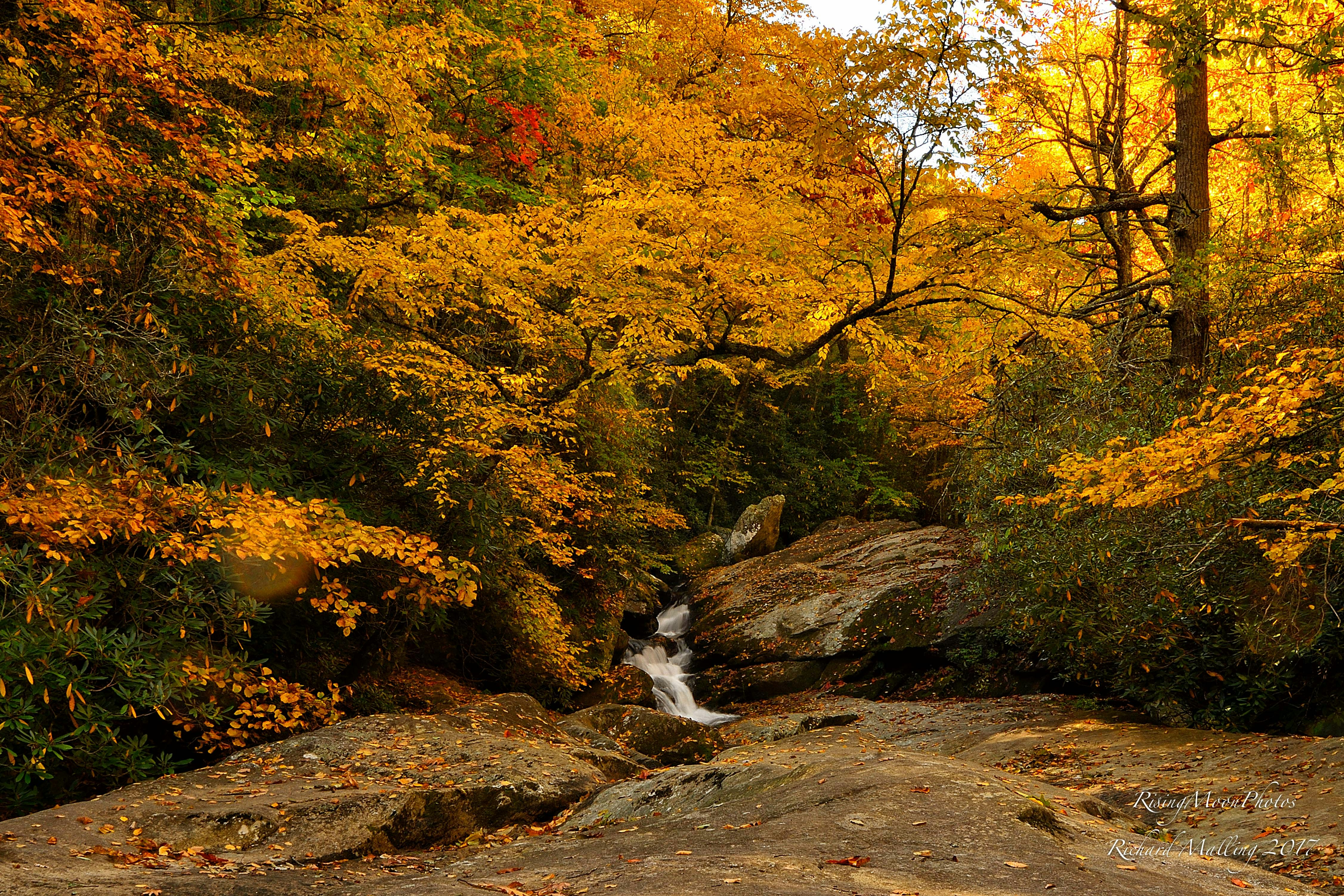 Photo by risingmoonphotos