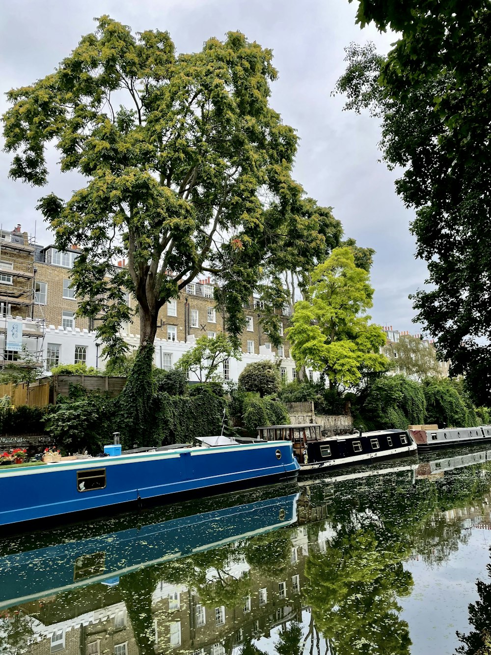 blue and white boat on river near green trees during daytime