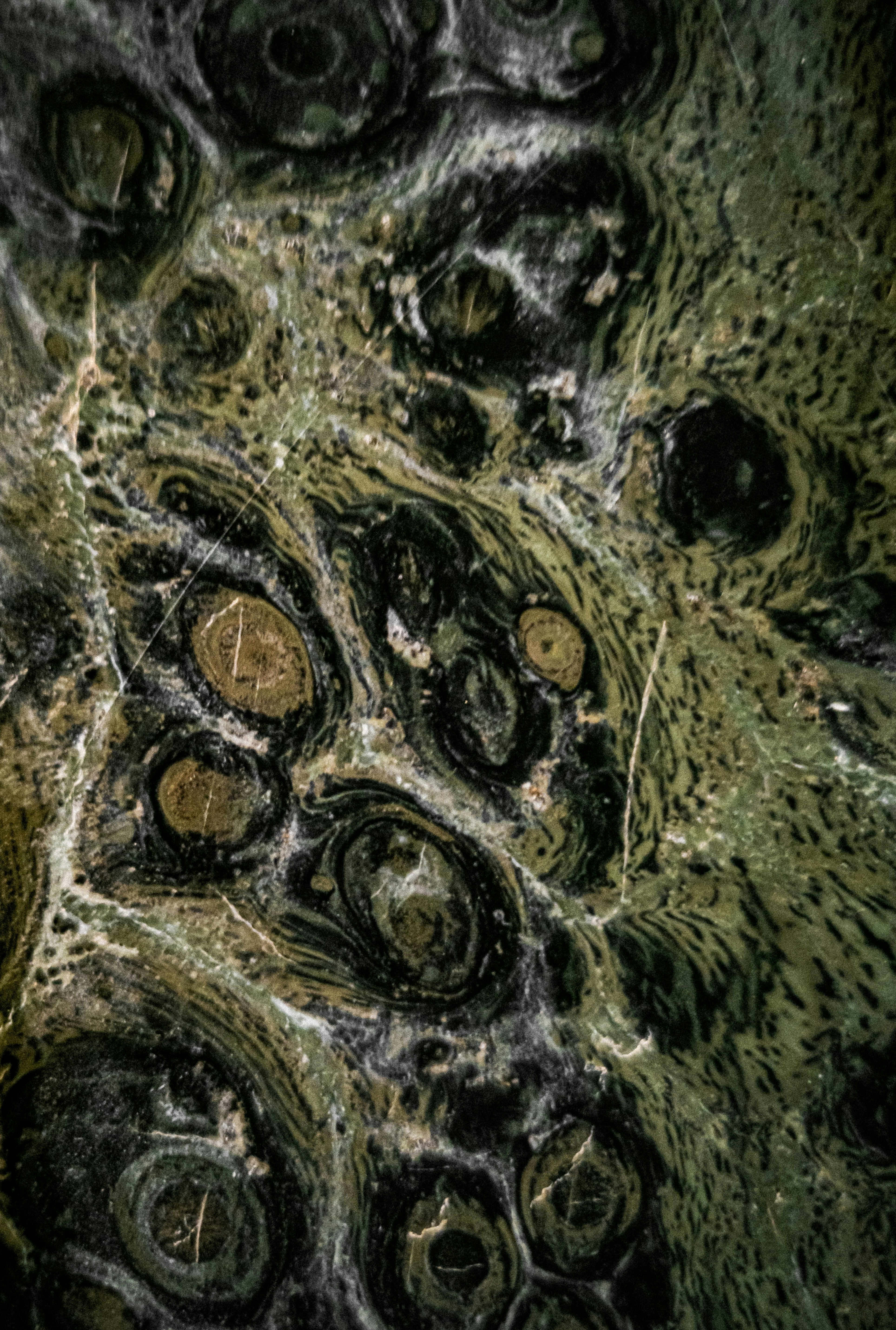 Photo by gabrieluizramos