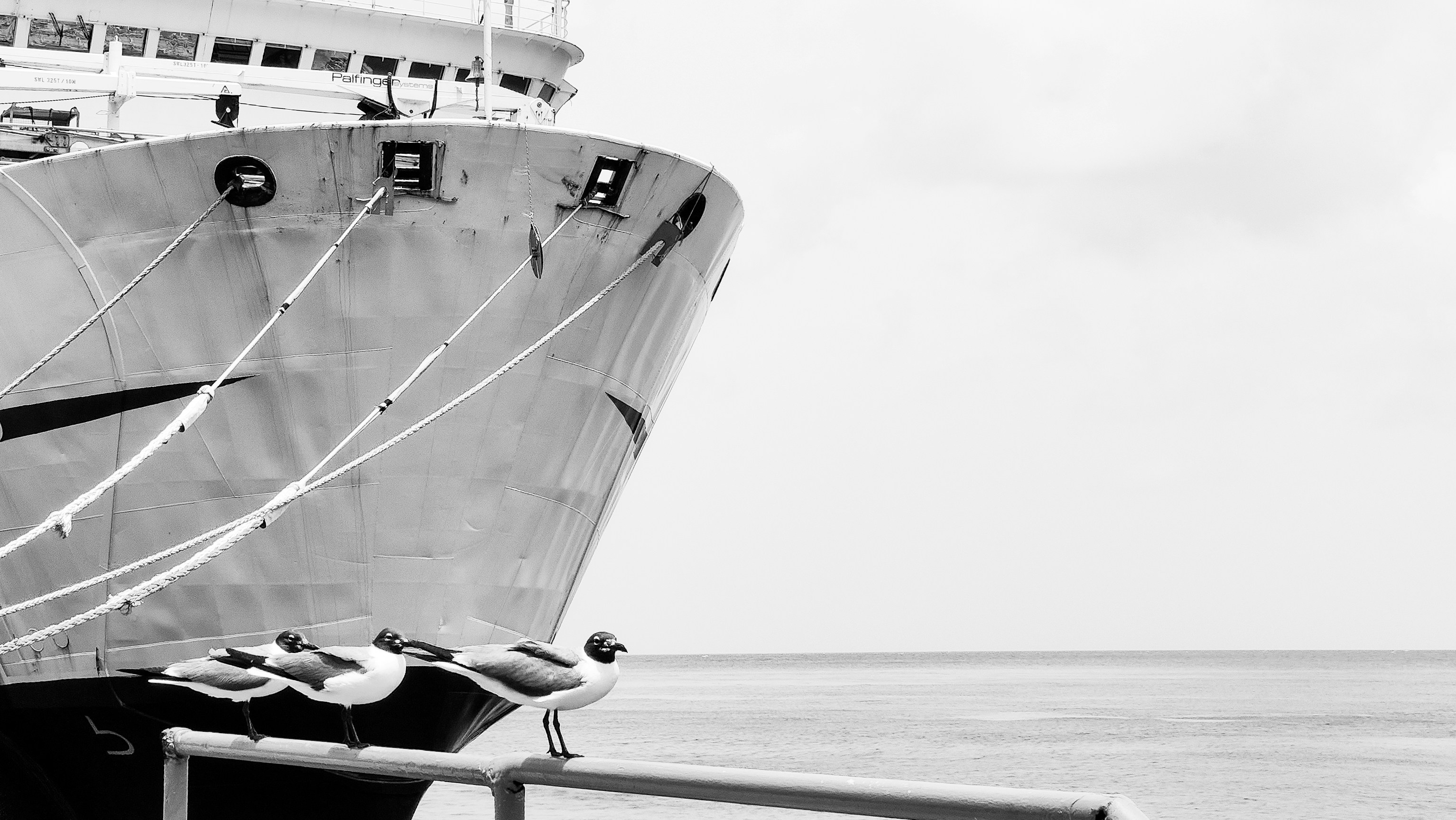 Photo by rrricharddd