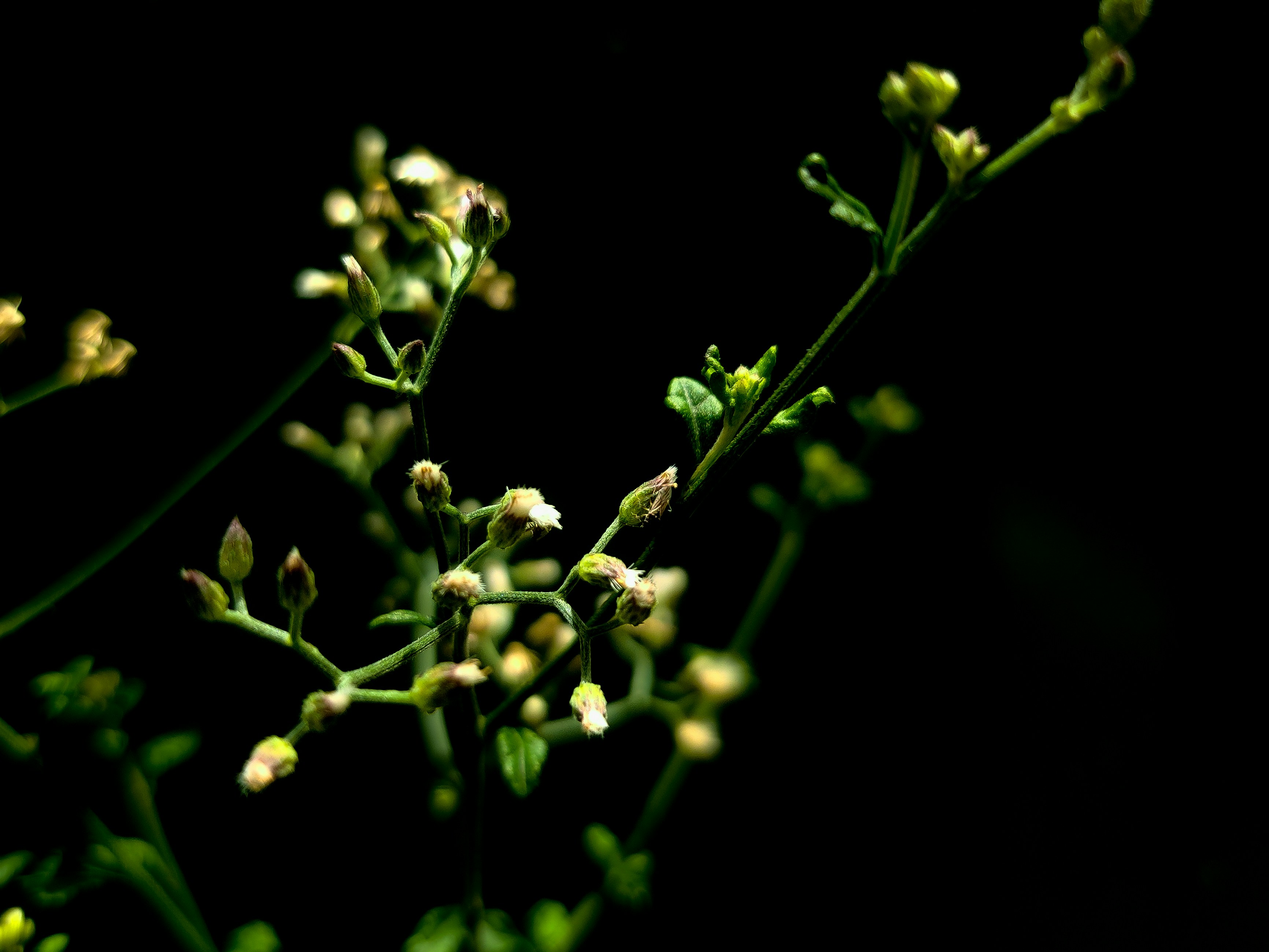 Photo by rrricharddd