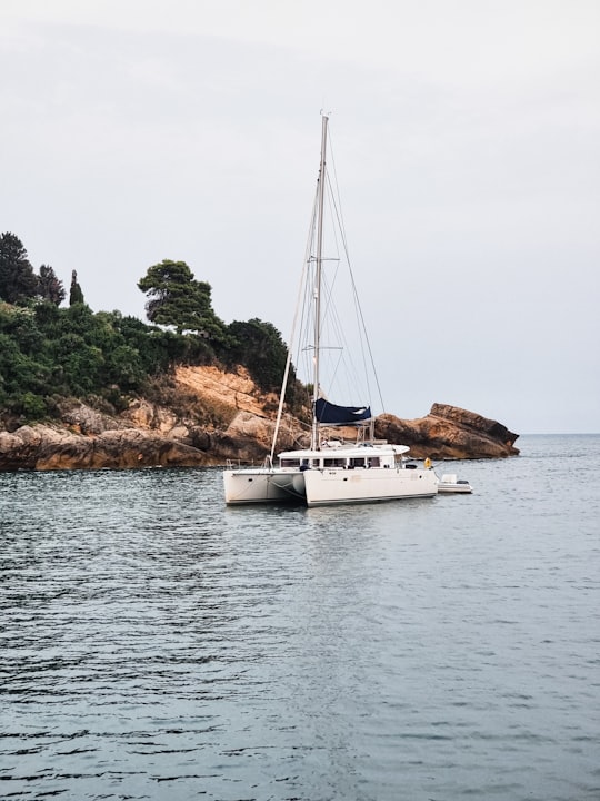 white boat on sea near green trees during daytime in Ulcinj Montenegro