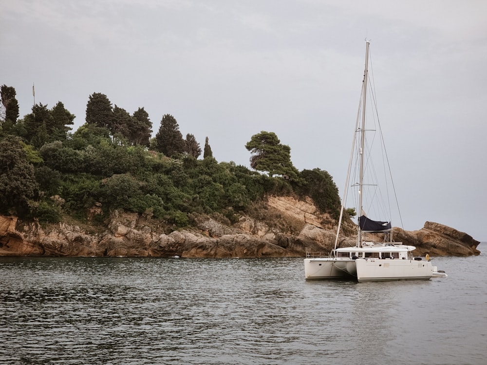 white sail boat on sea near green trees during daytime