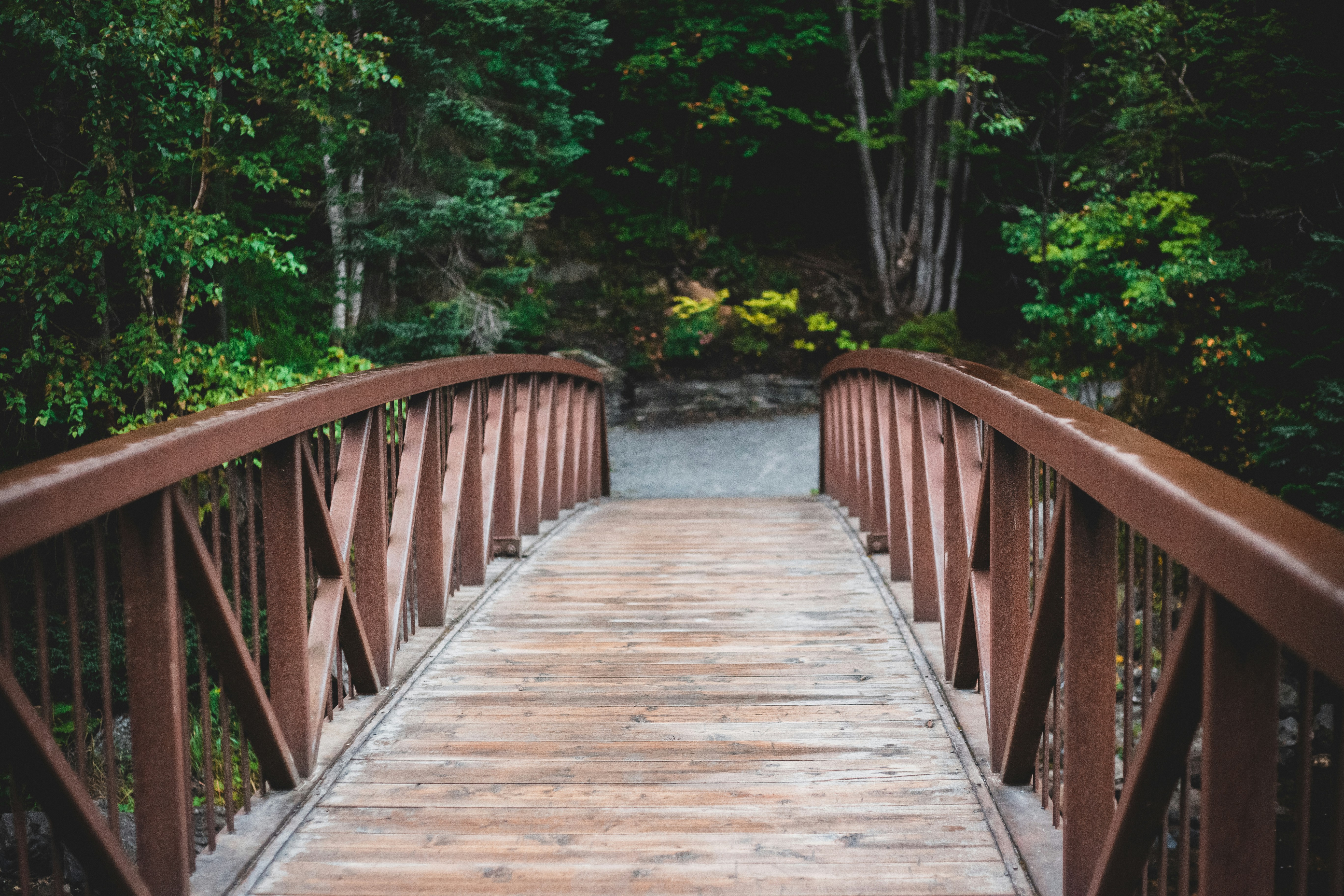 Photo by introspectivedsgn