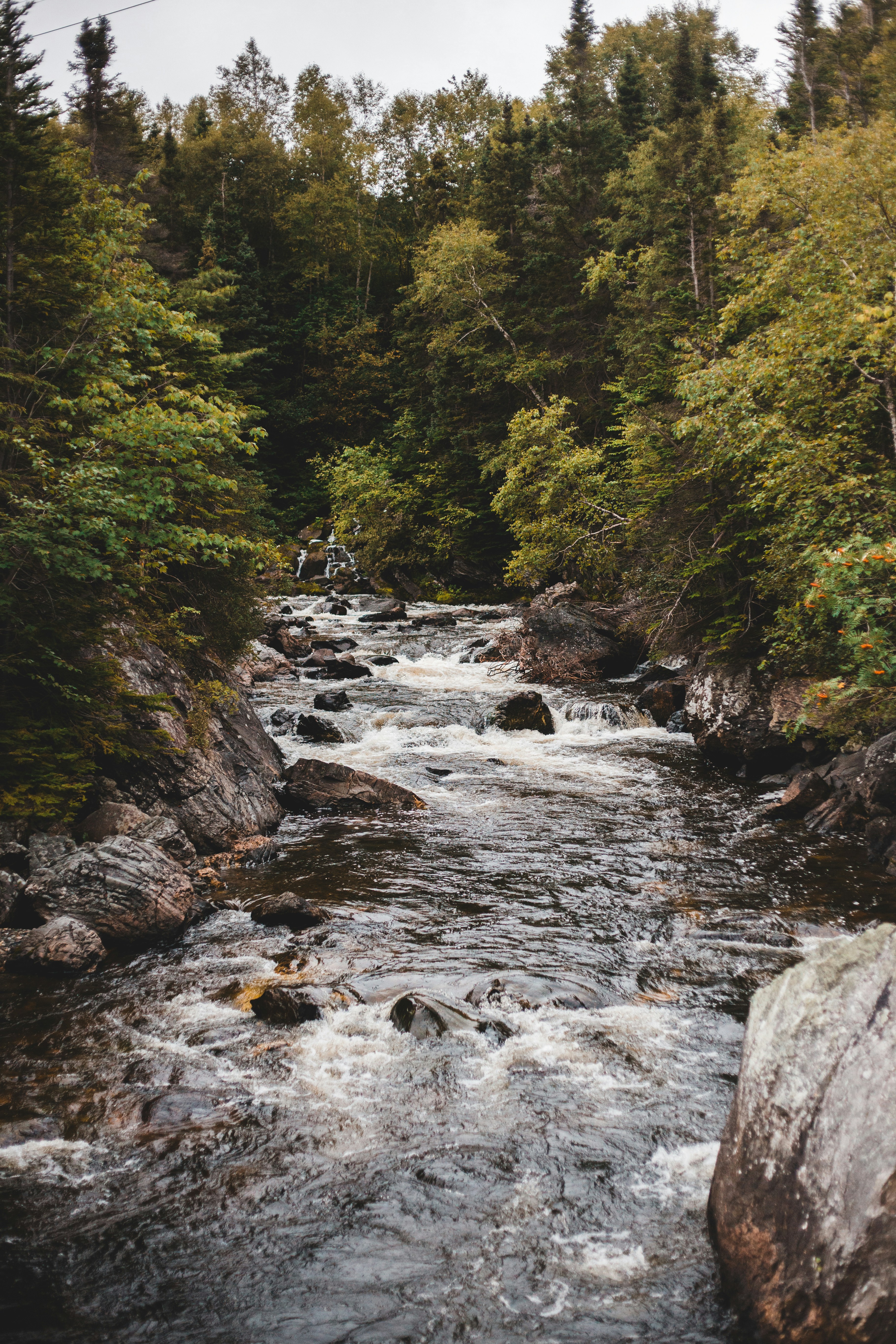 Photo by introspectivedsgn