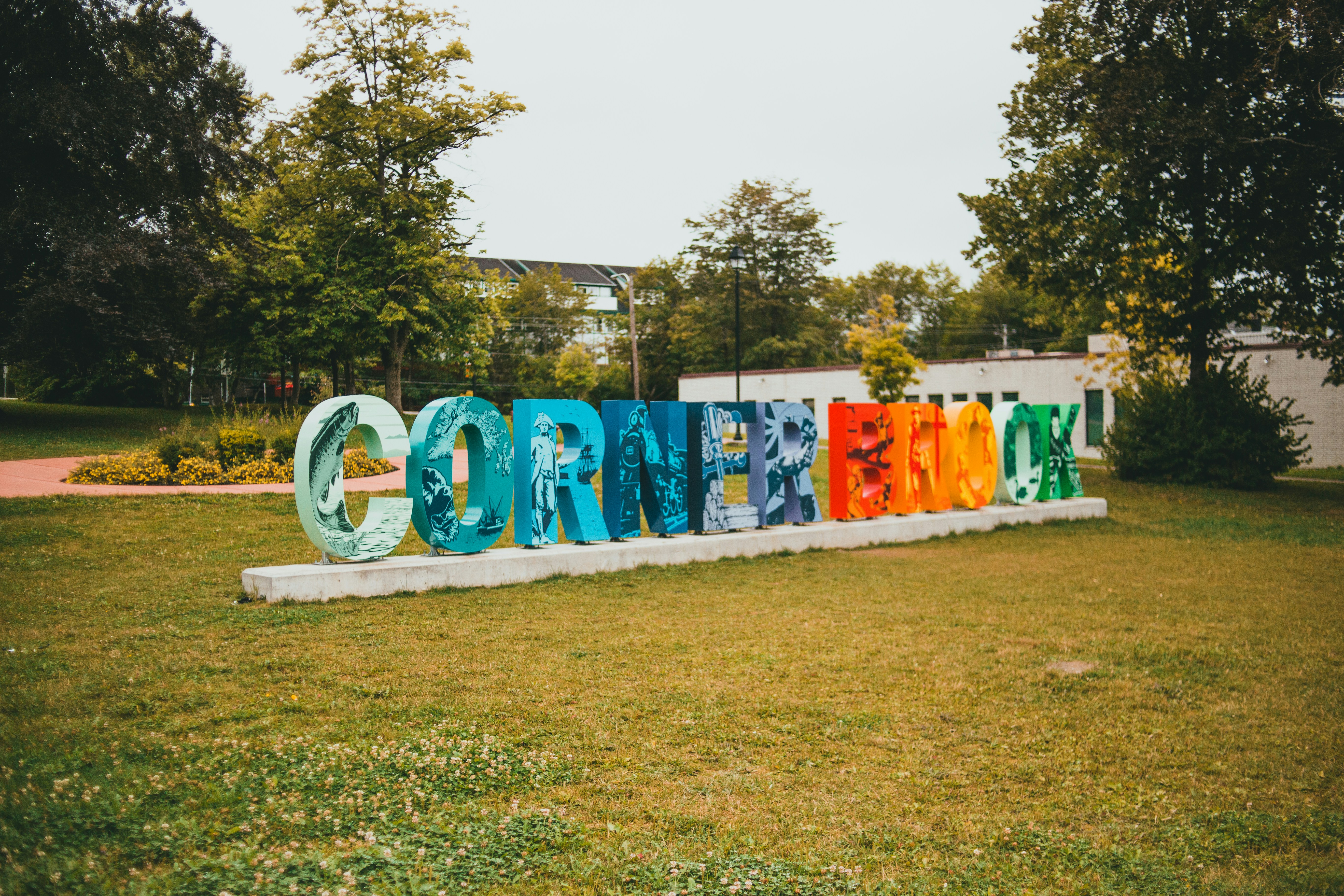 blue and white textile on green grass field during daytime