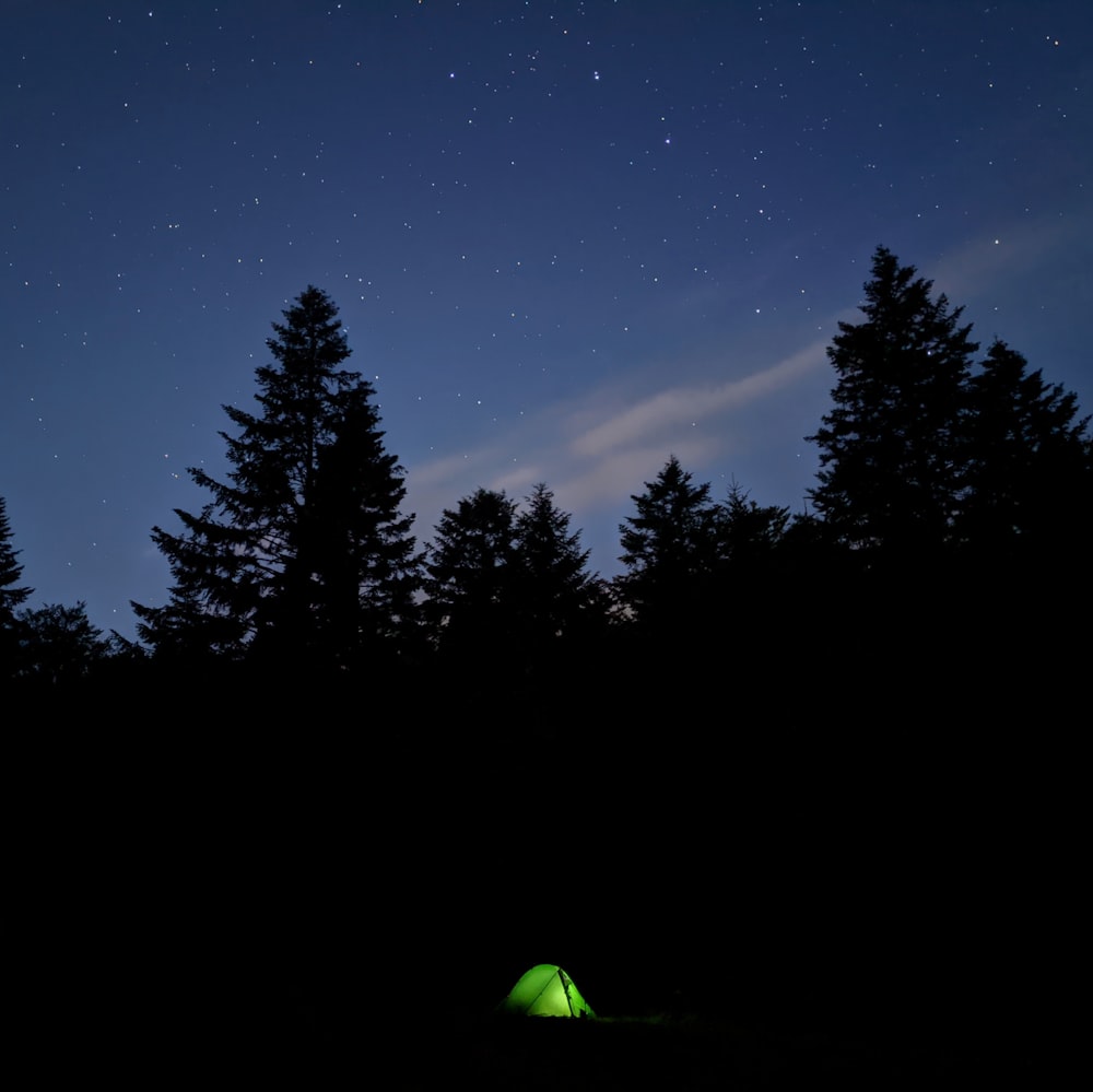 green tent in the middle of forest during night time