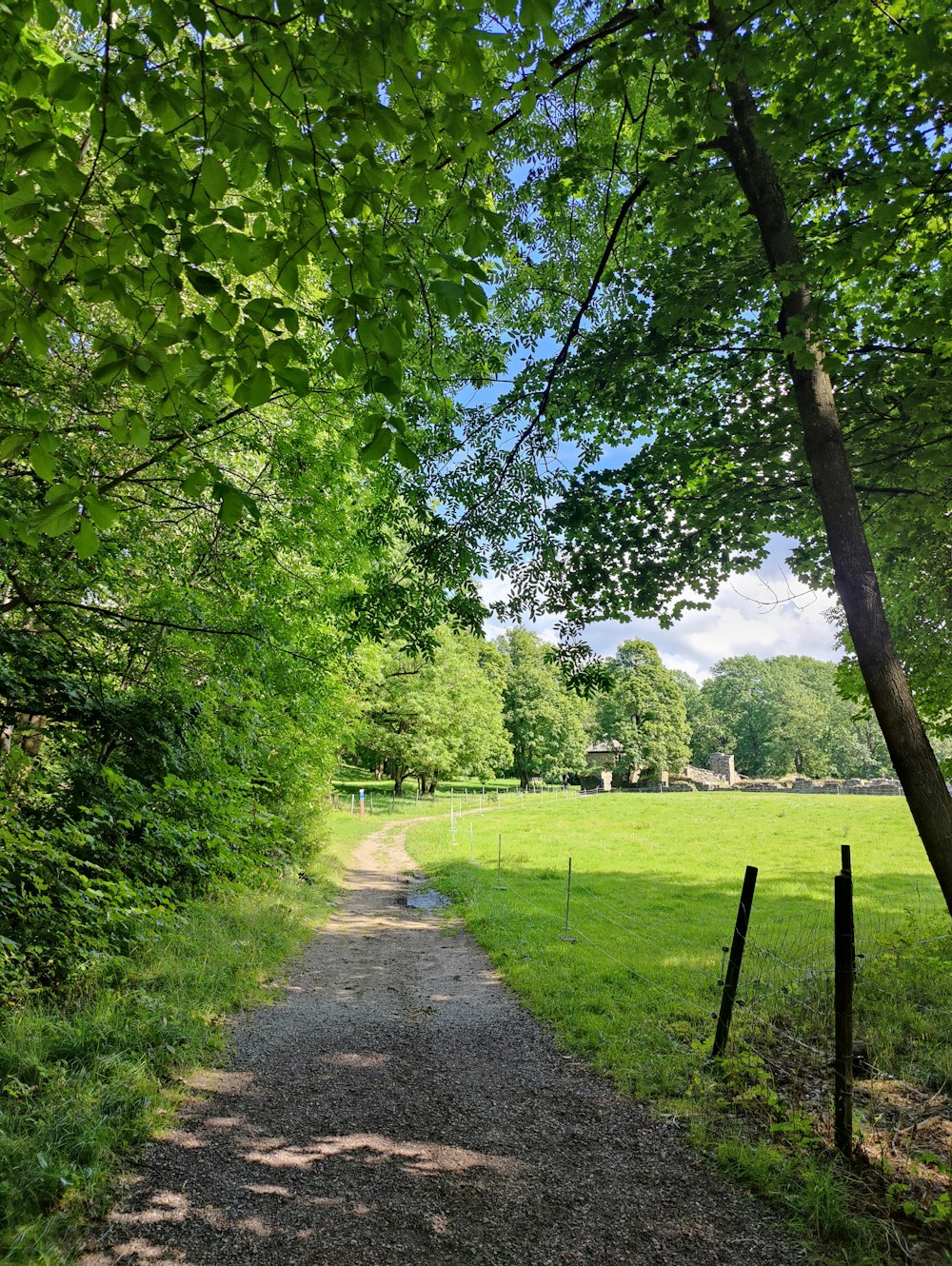 gray concrete road between green grass field during daytime