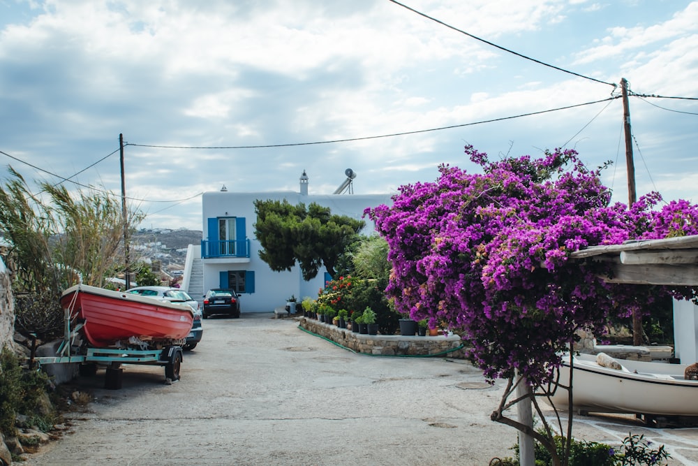 red and black car parked near purple flower