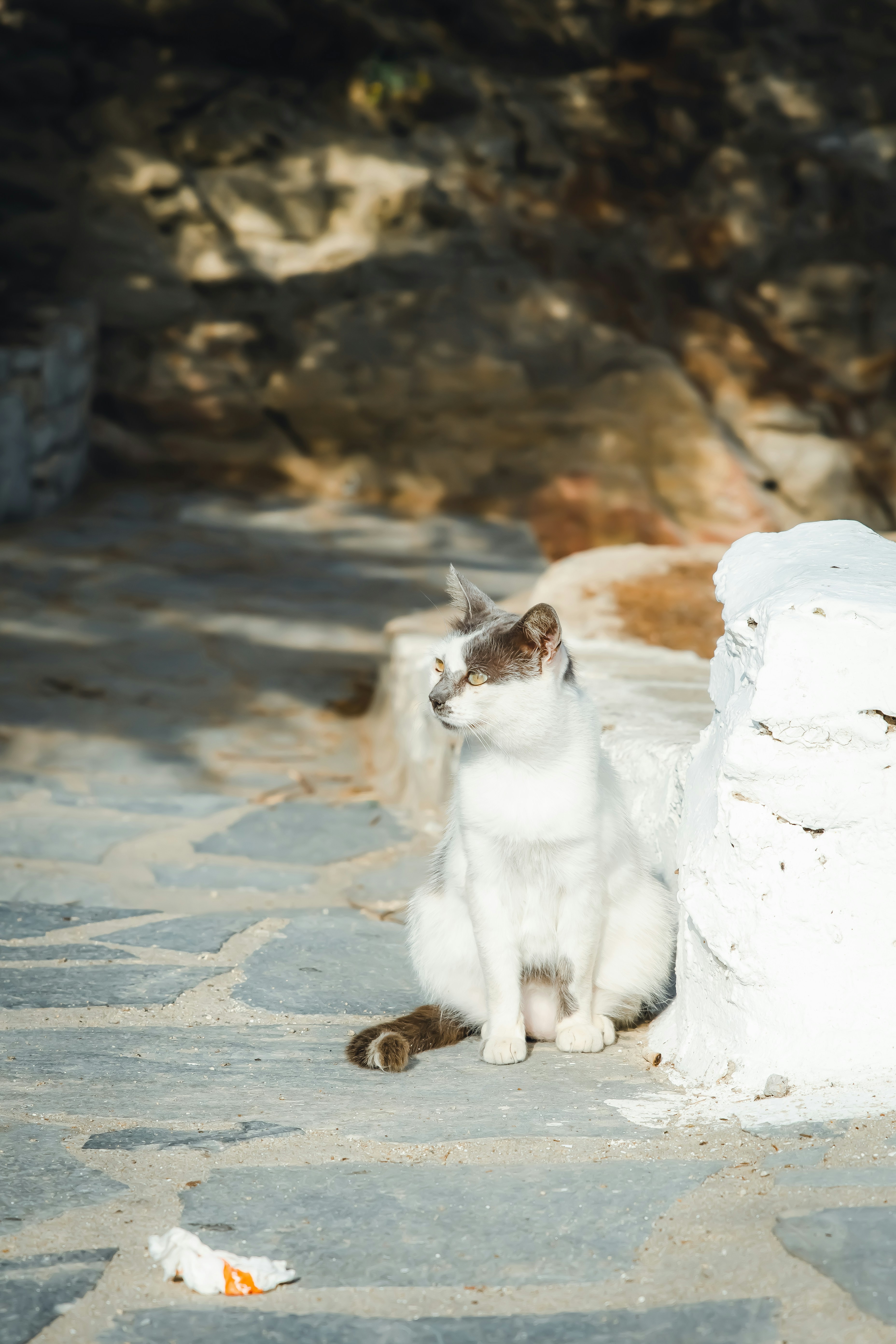 Photo by harrisonfitts