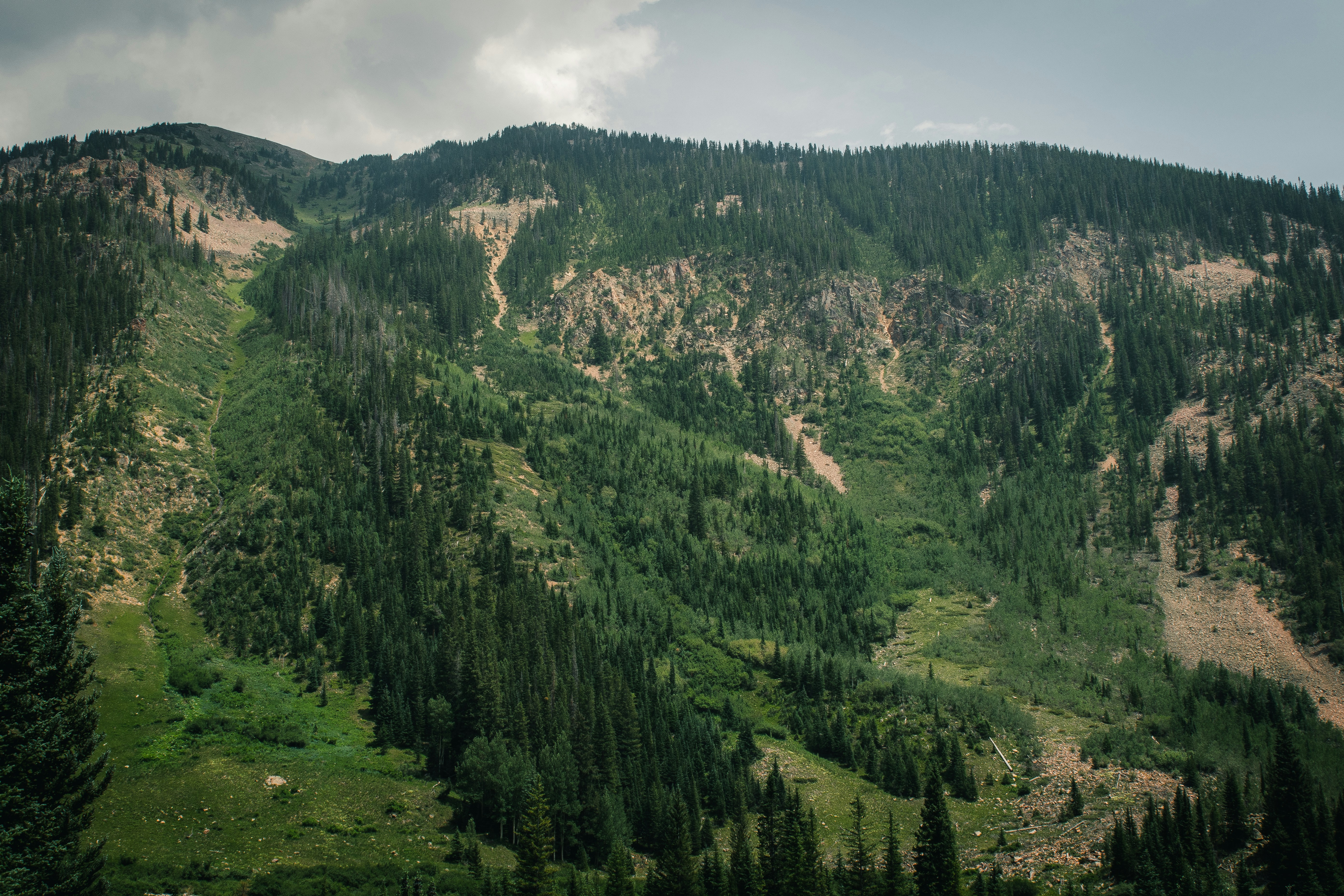 green trees on mountain under cloudy sky during daytime