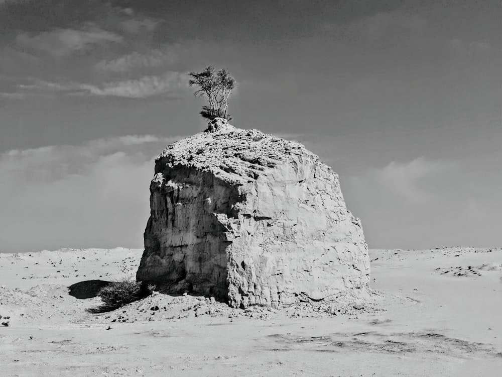 gray rock formation on sea shore