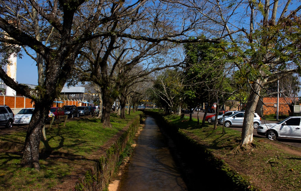 white car parked on sidewalk near trees during daytime