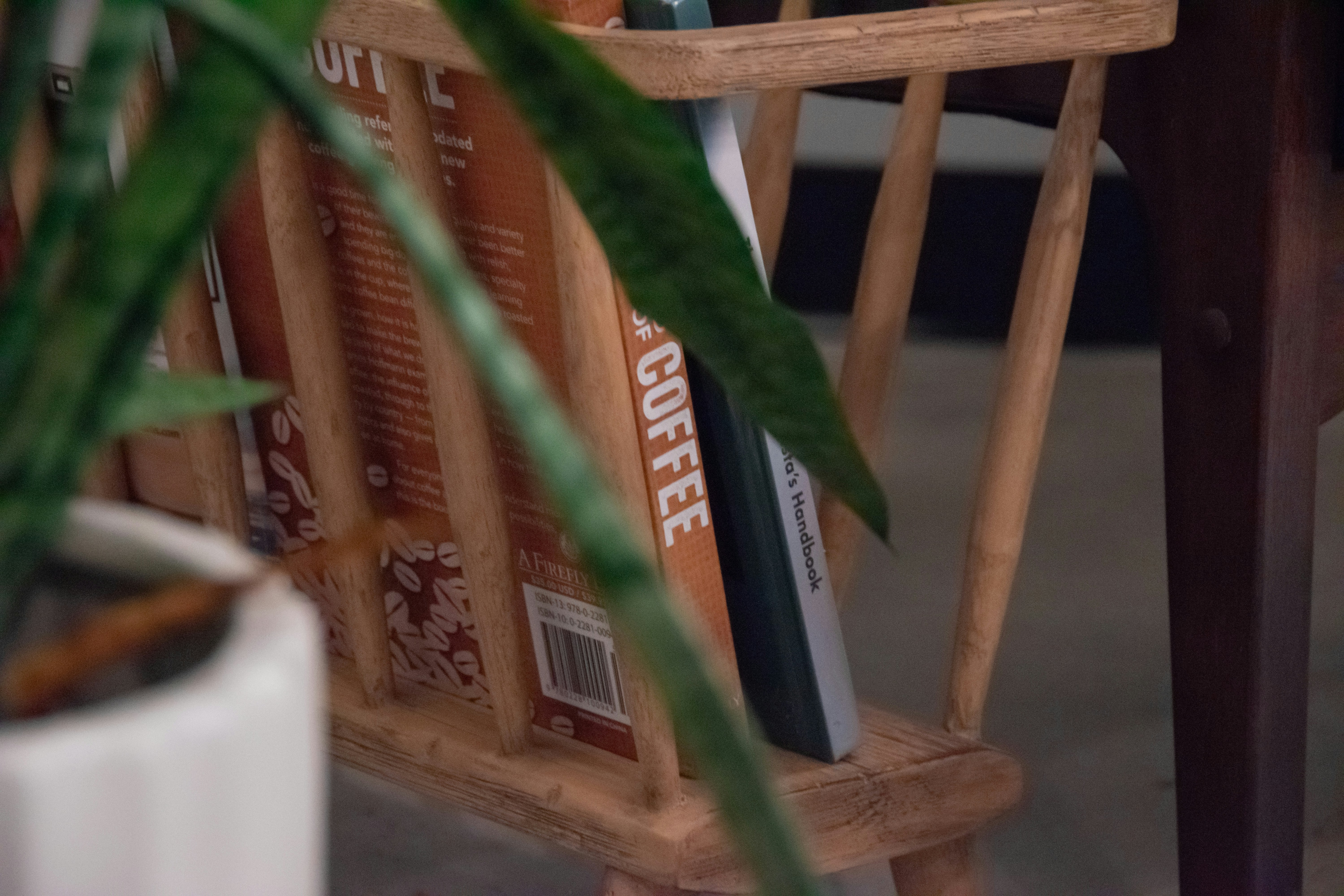green bird on brown wooden bird cage