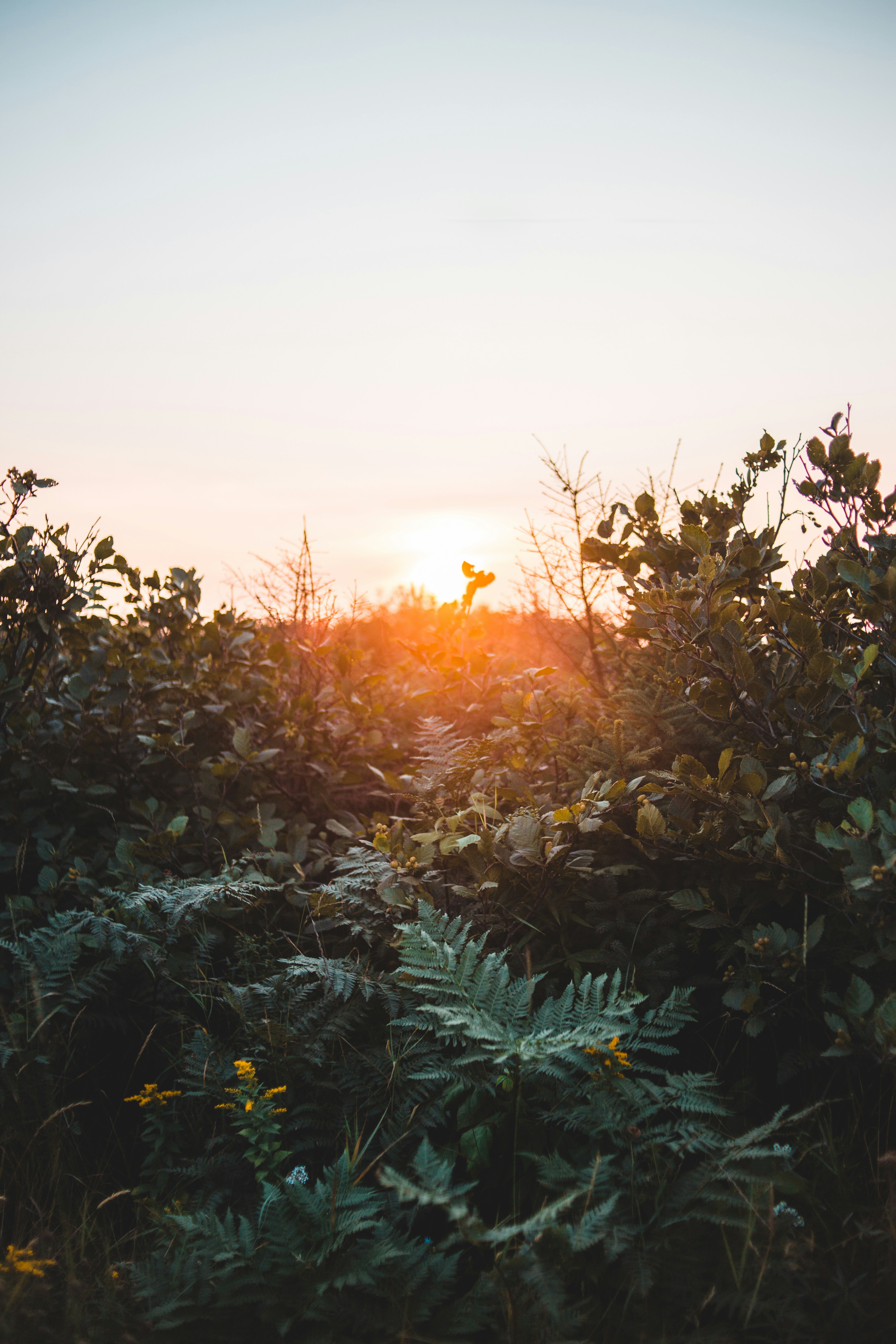 Photo by introspectivedsgn