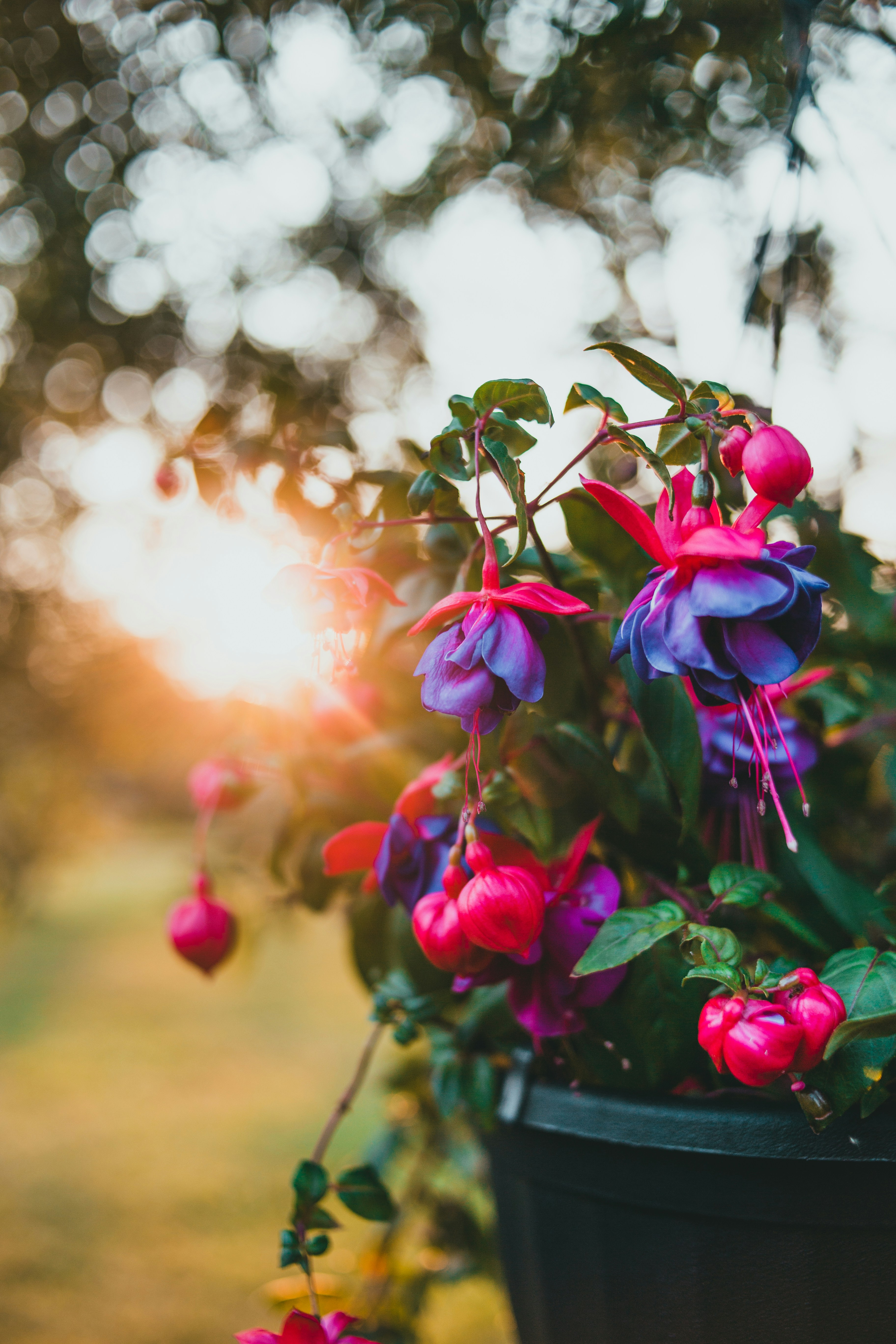 Photo by introspectivedsgn