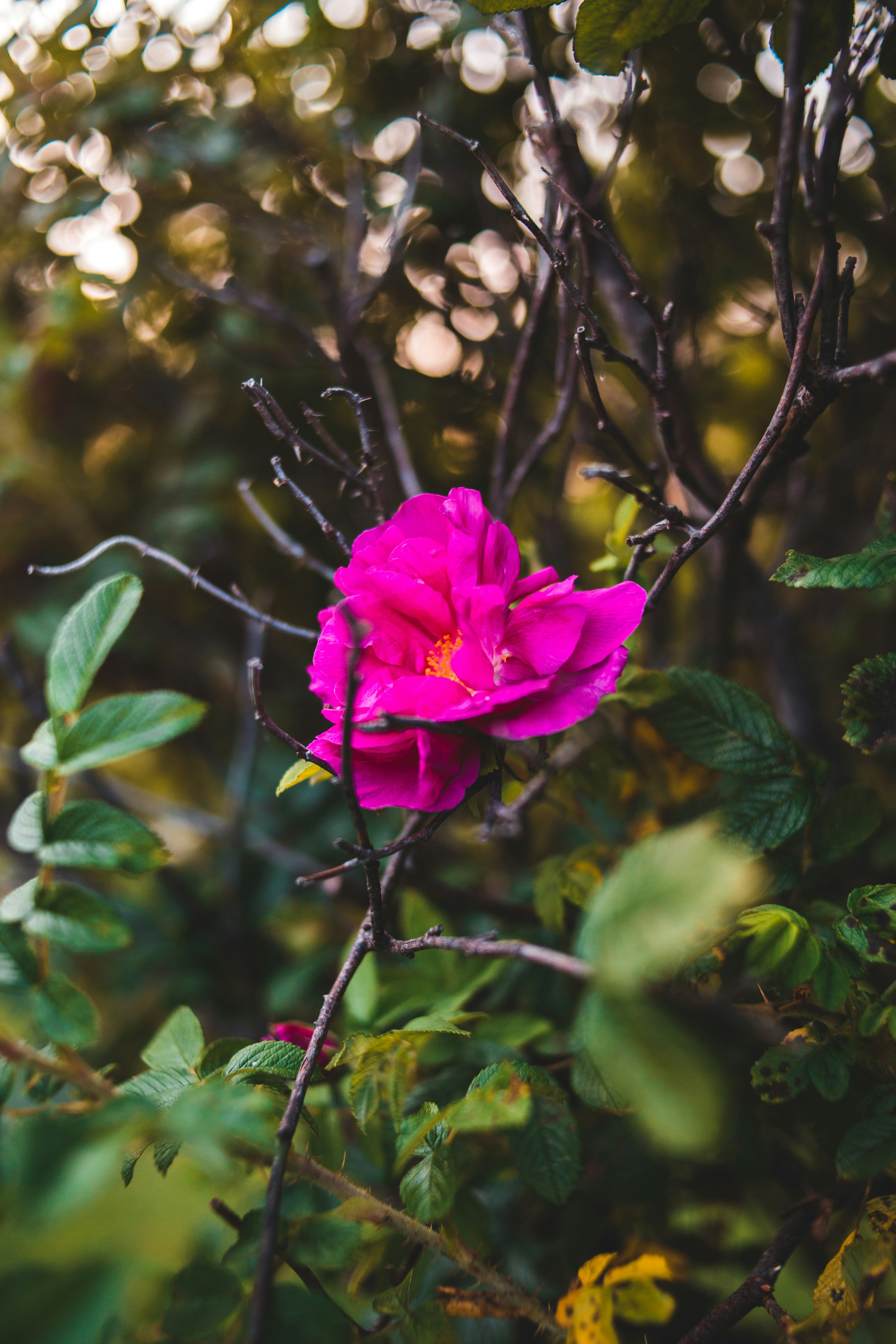 Photo by introspectivedsgn