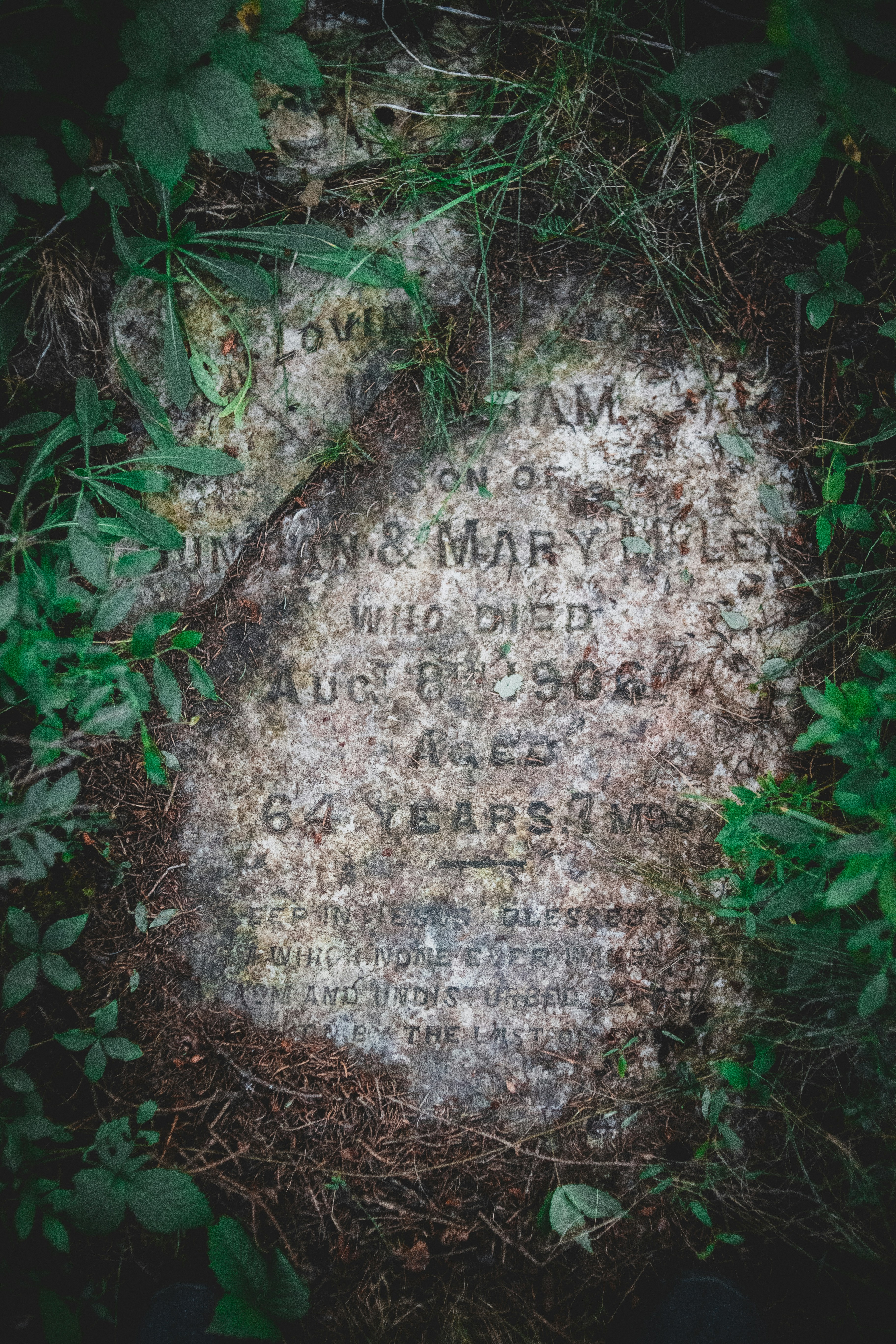 Matthew Perry's Unmarked Grave Gets Plaque 2 Years After His Death