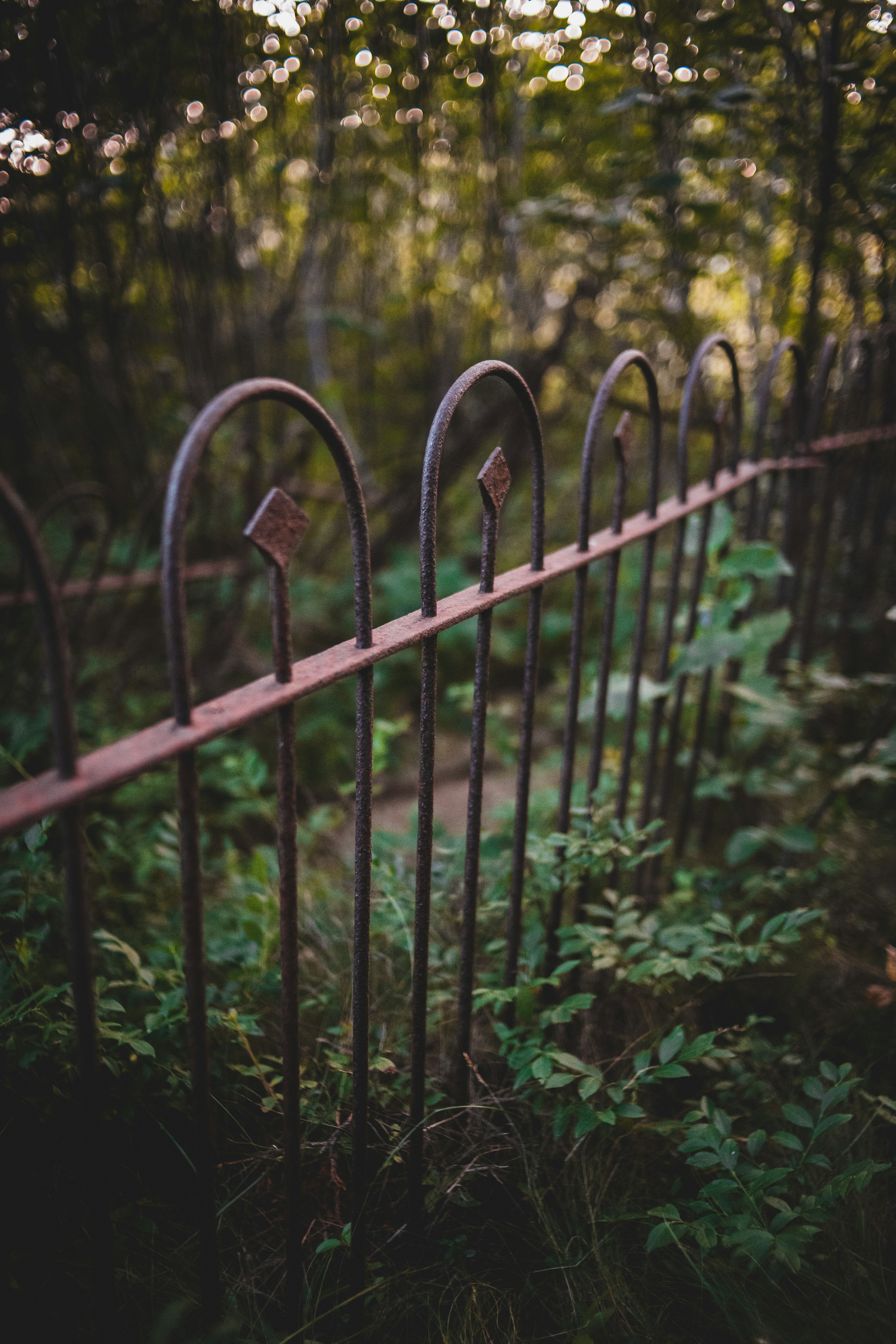 Photo by introspectivedsgn