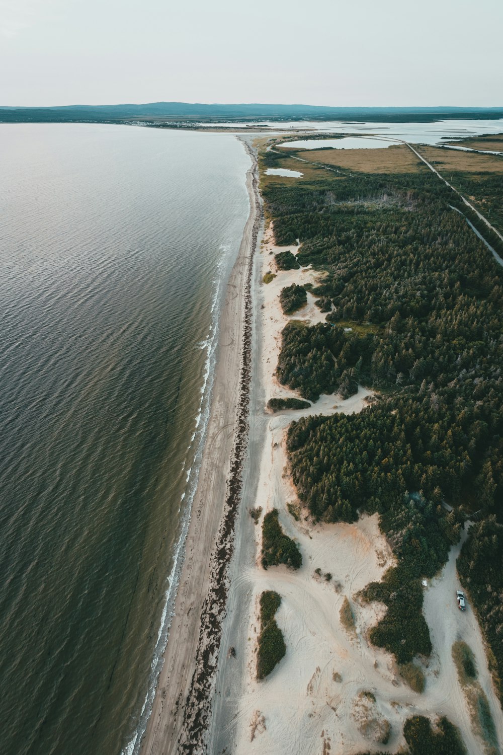 aerial view of a beach