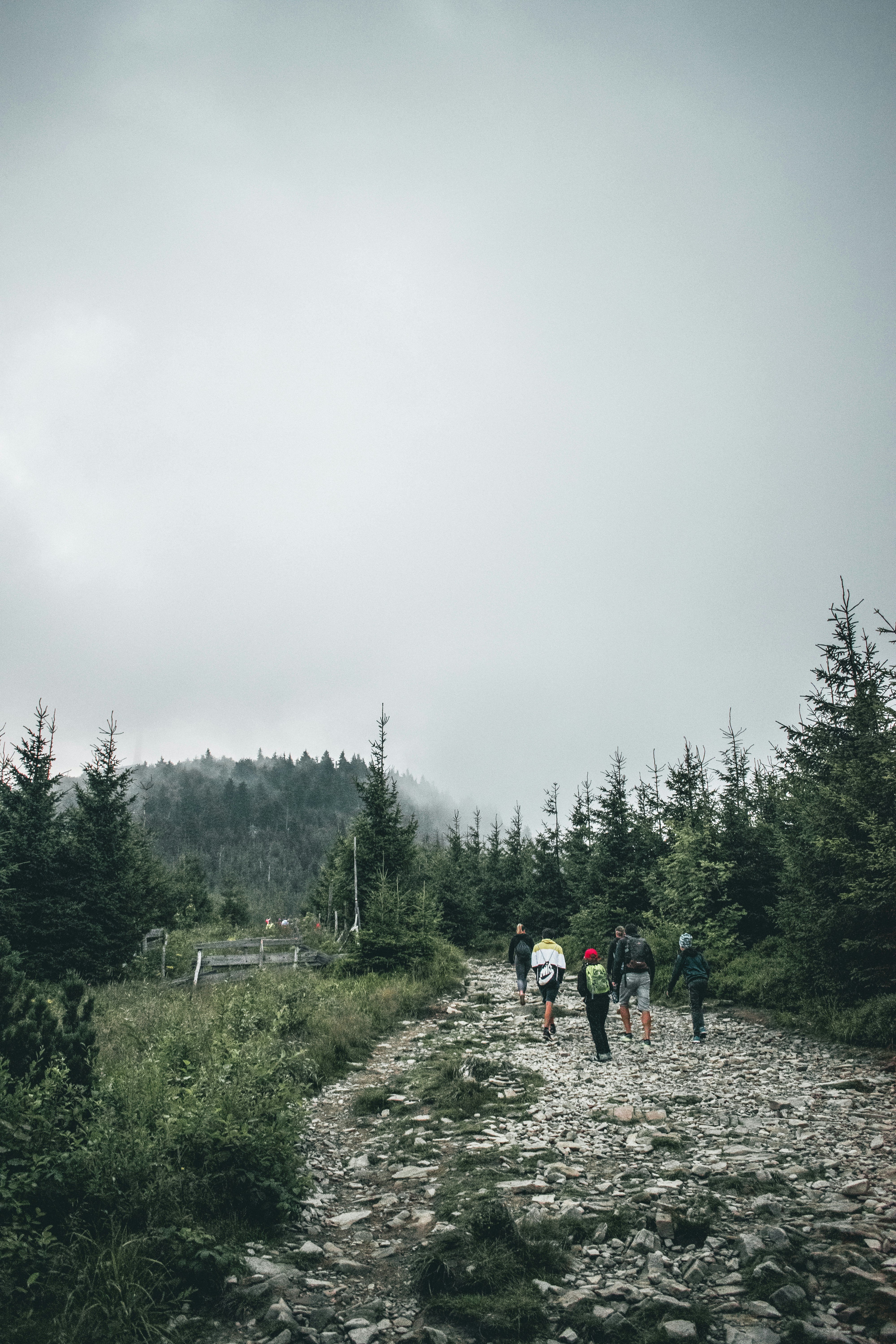 Photo by mikulecmichal