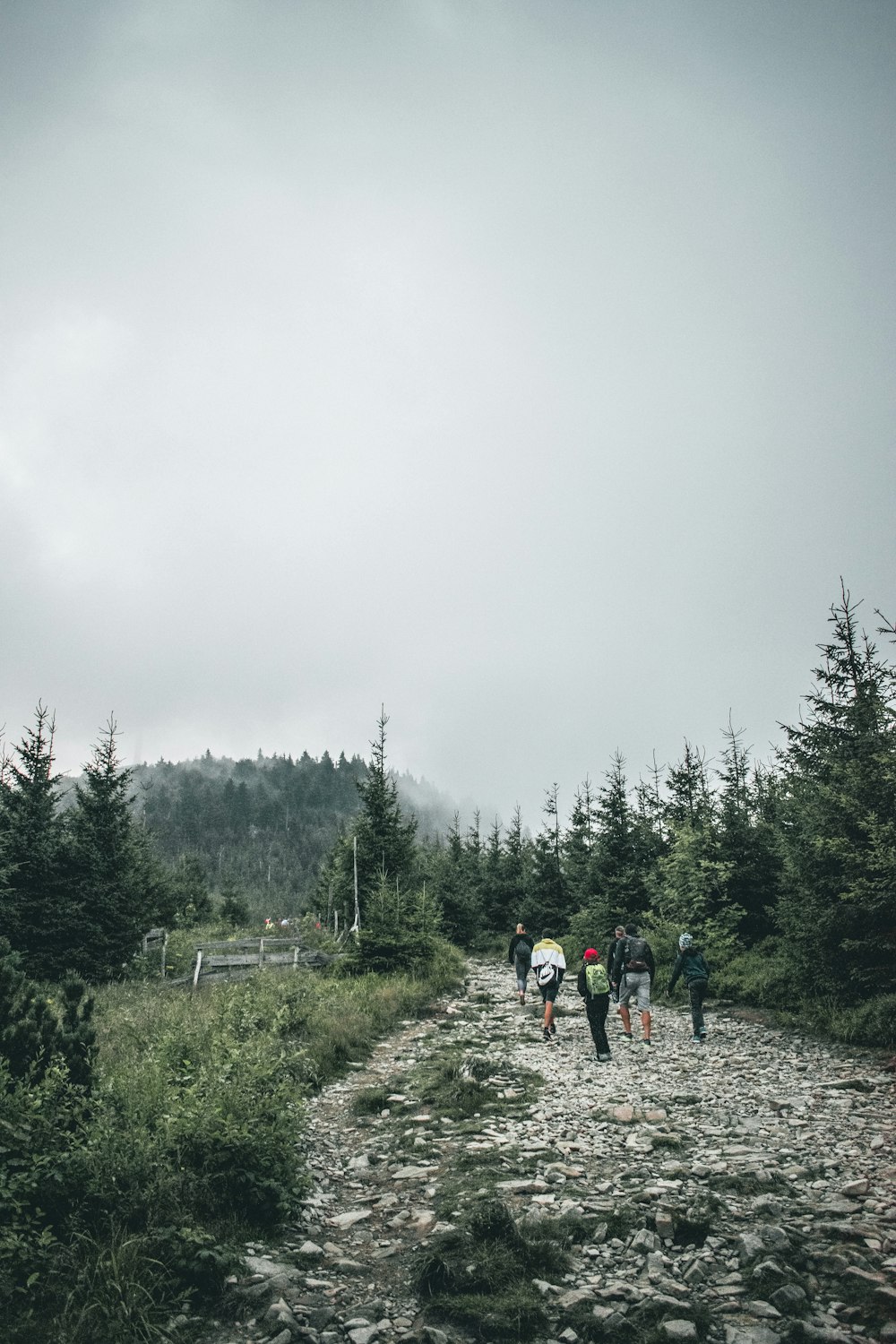 people walking on dirt road between green trees during daytime