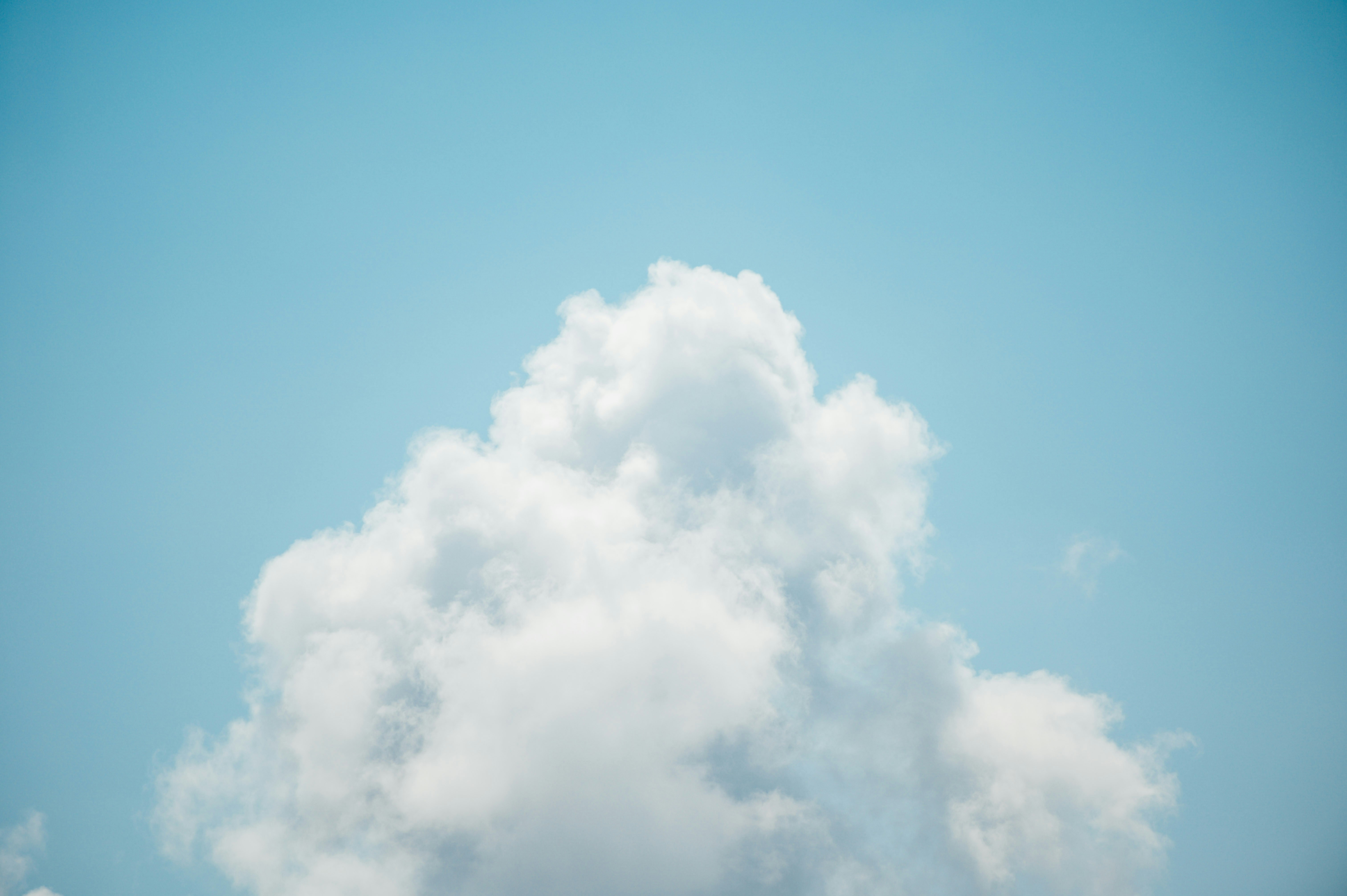 Photo by chuttersnap