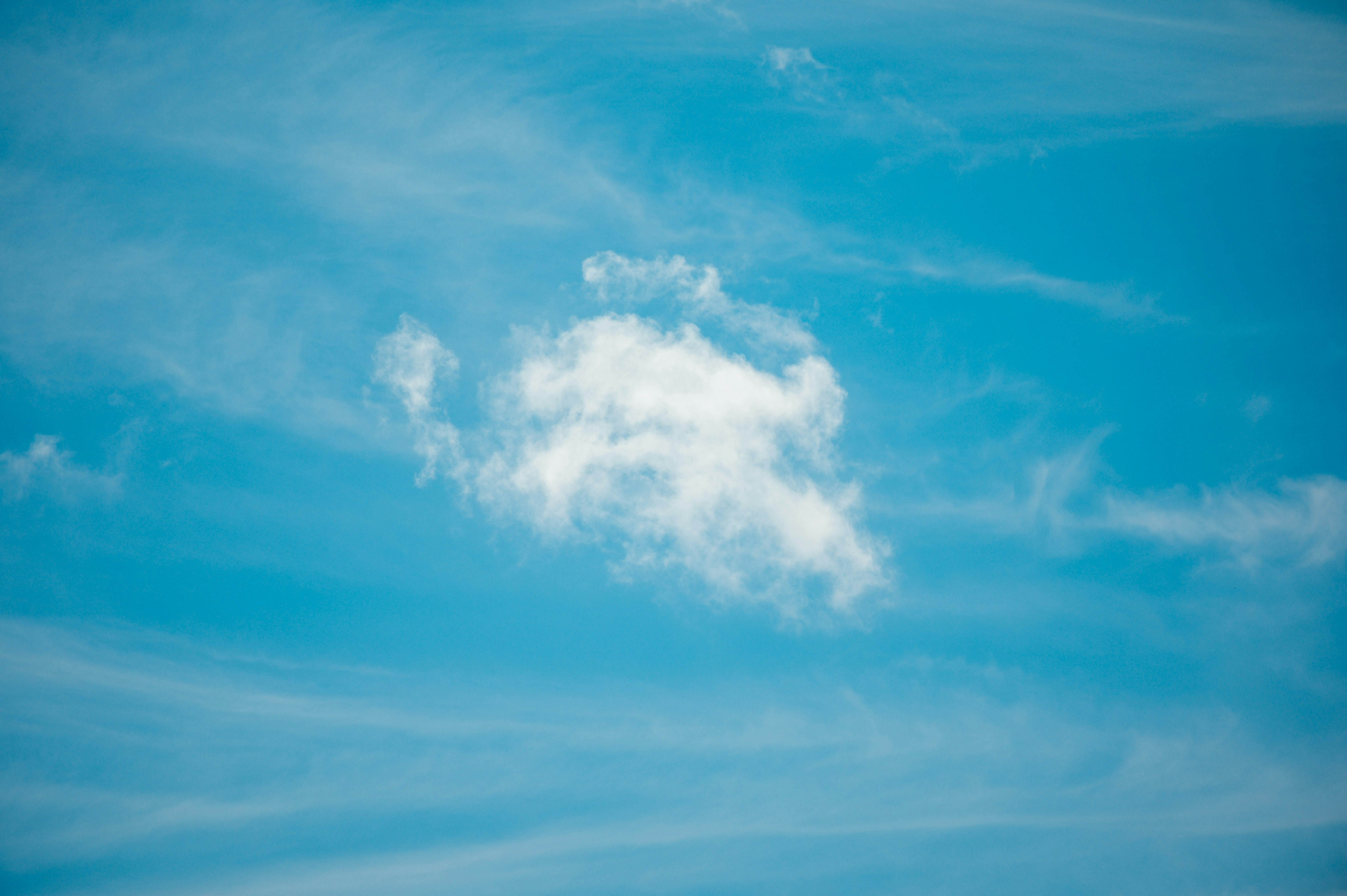 Photo by chuttersnap