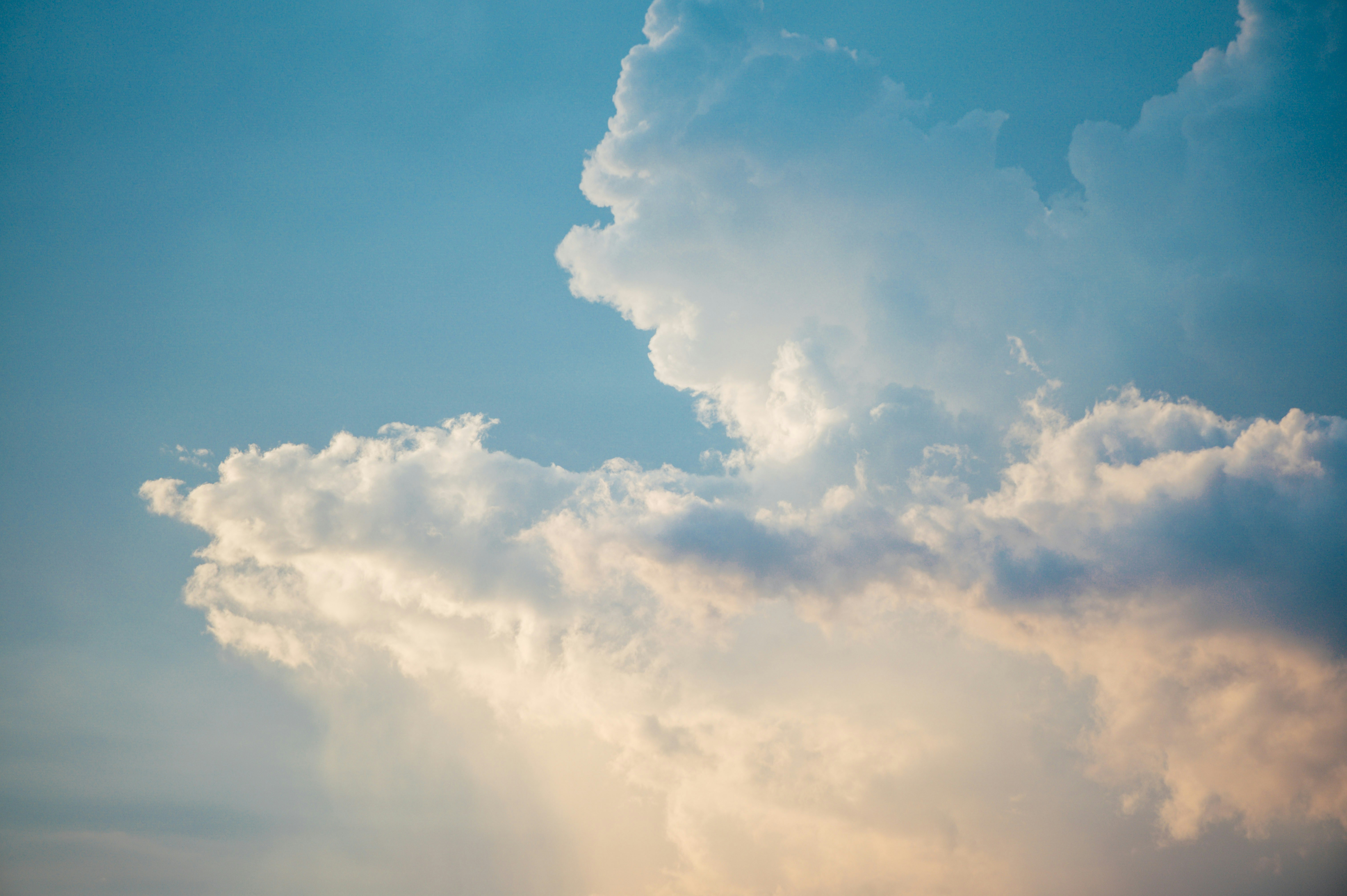 Photo by chuttersnap