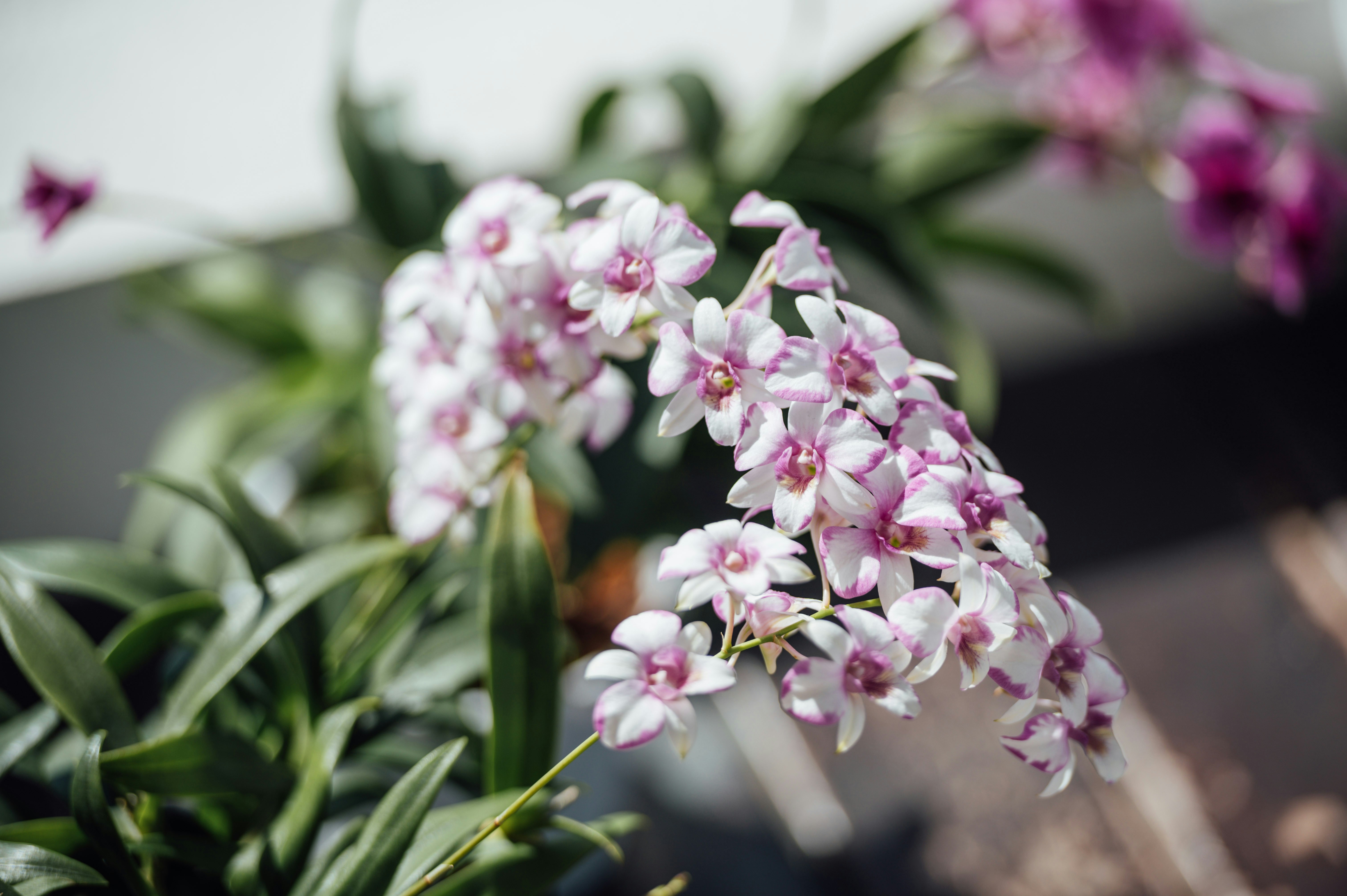 Photo by chuttersnap