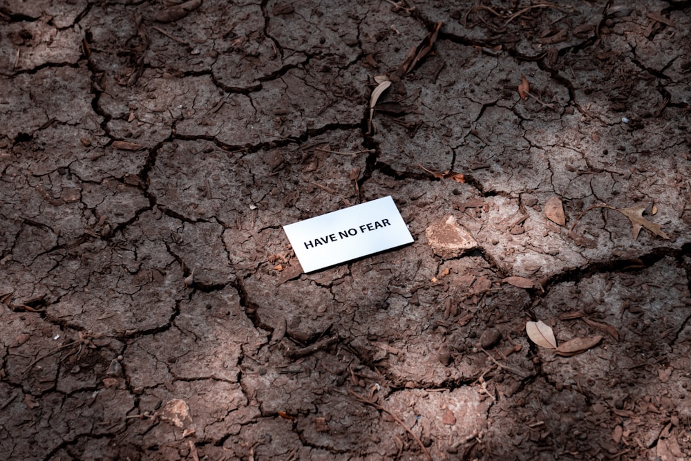 white printer paper on brown soil