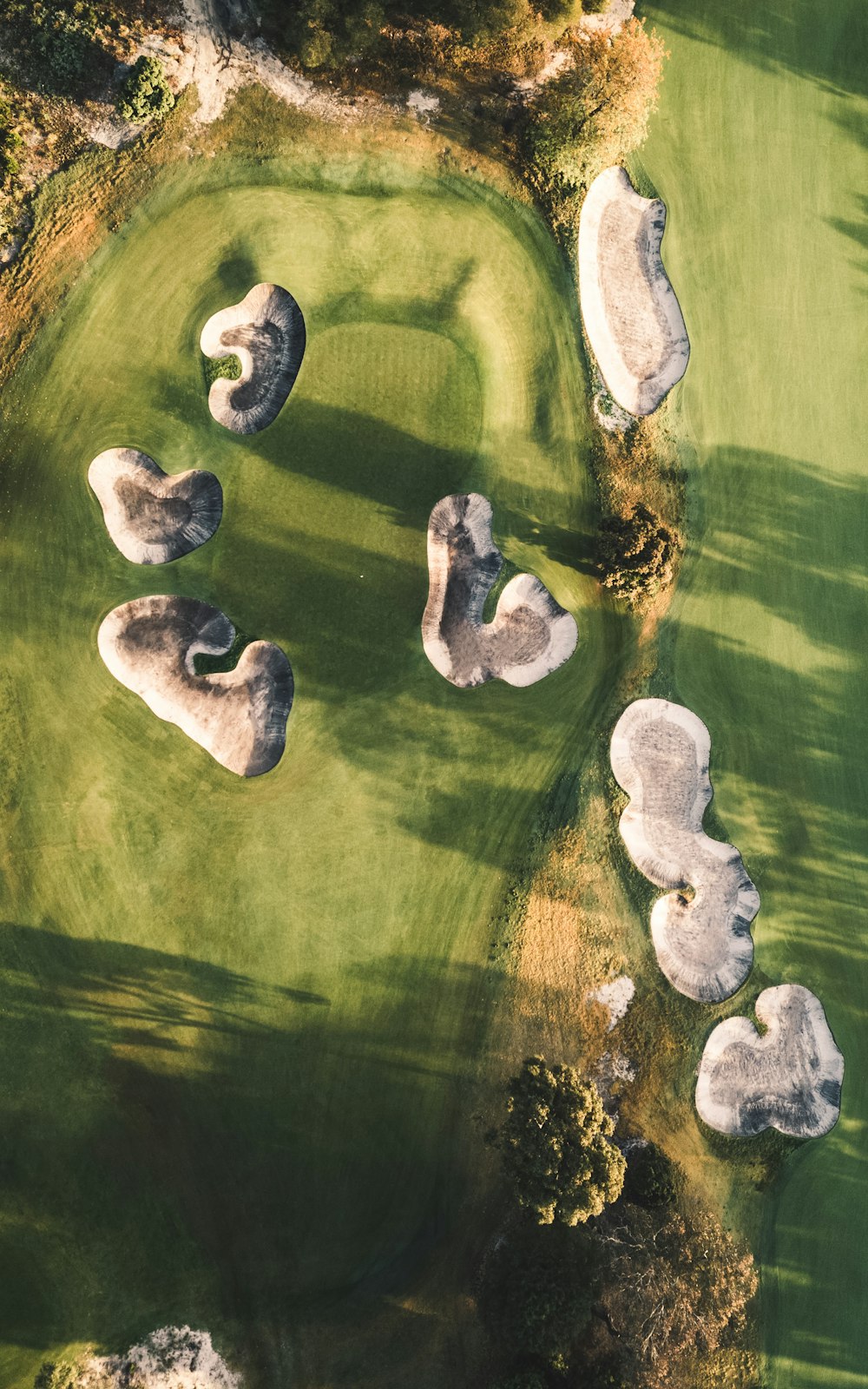 white and gray stones on green water