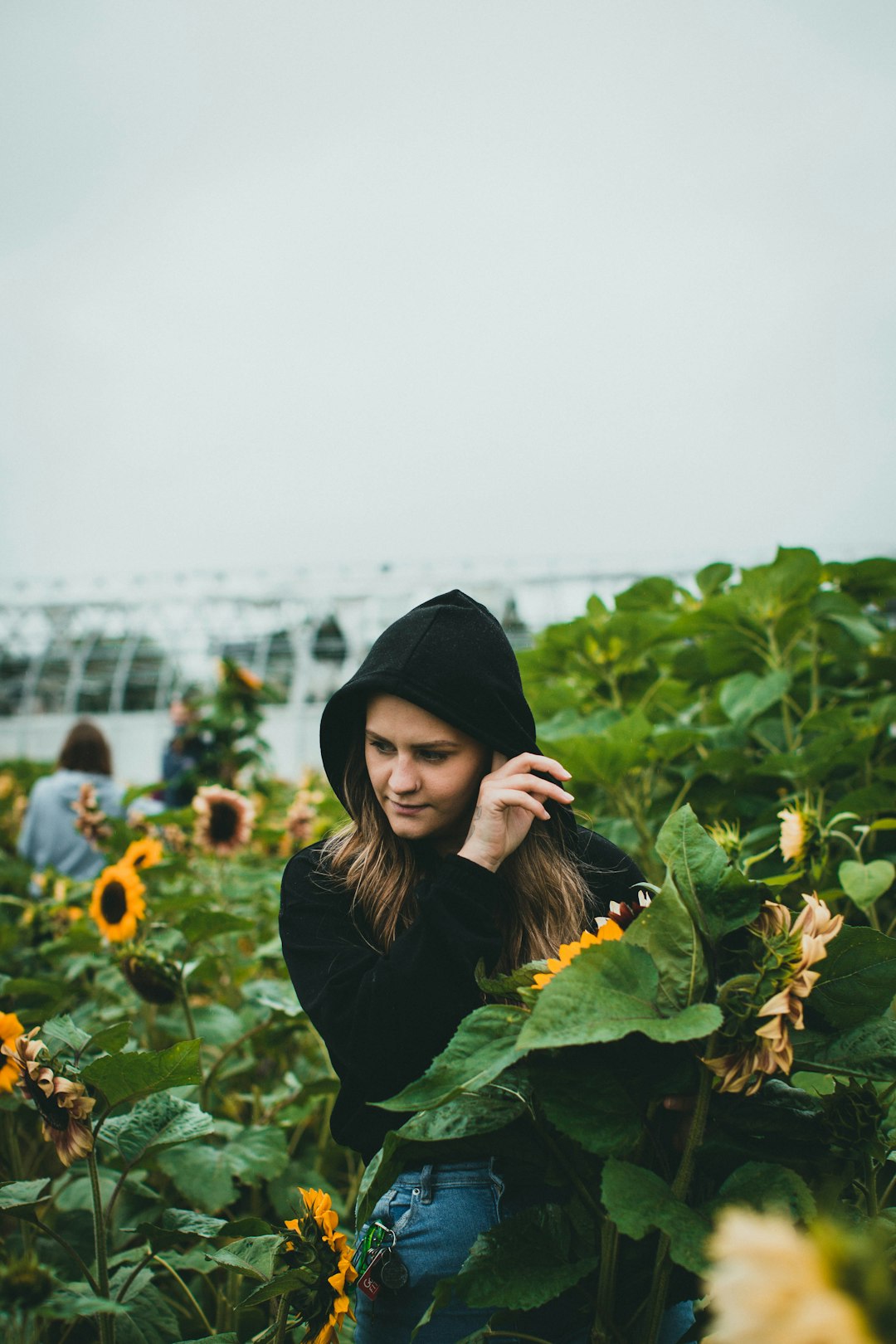 woman in black hoodie standing on sunflower field during daytime