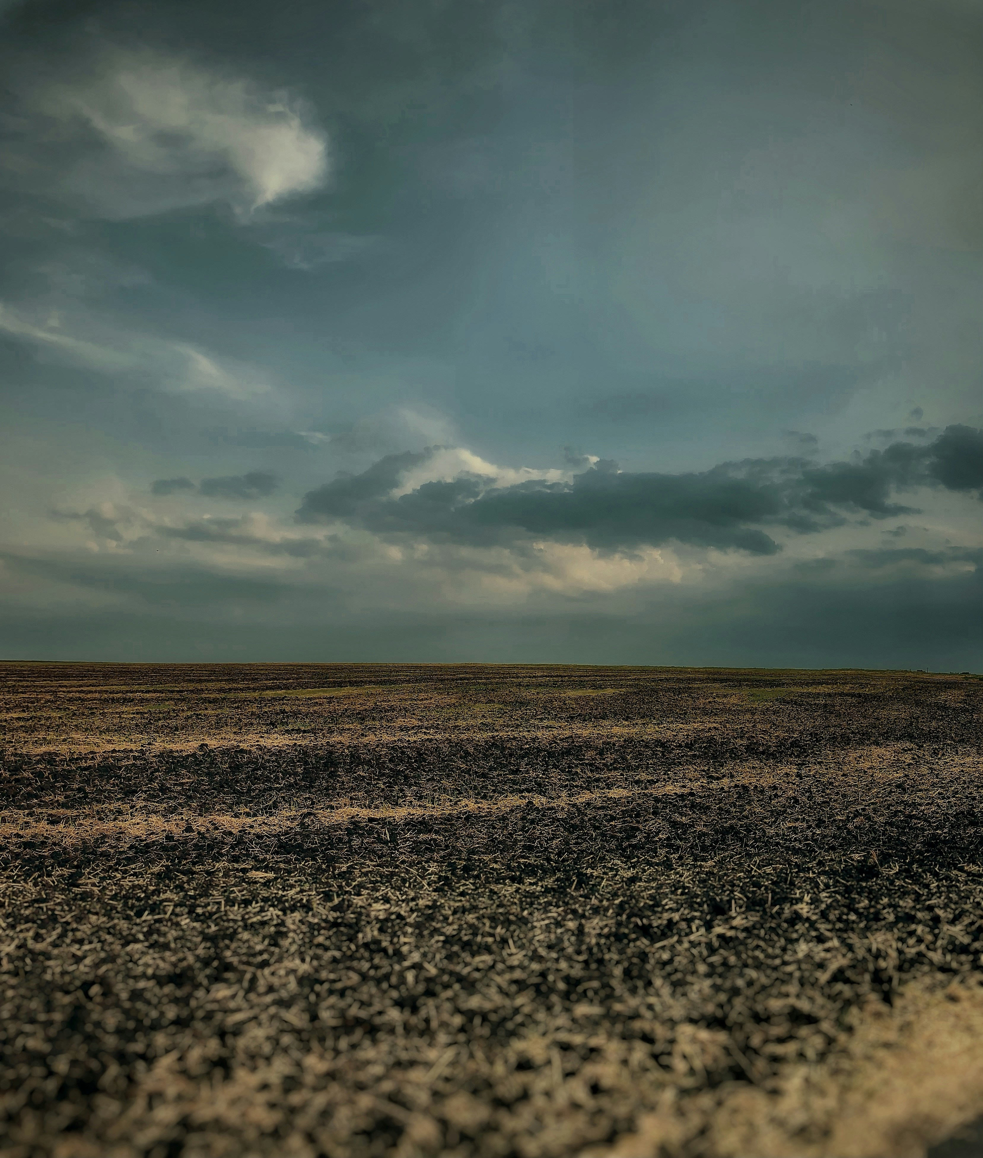 Photo by arthur_oleynik