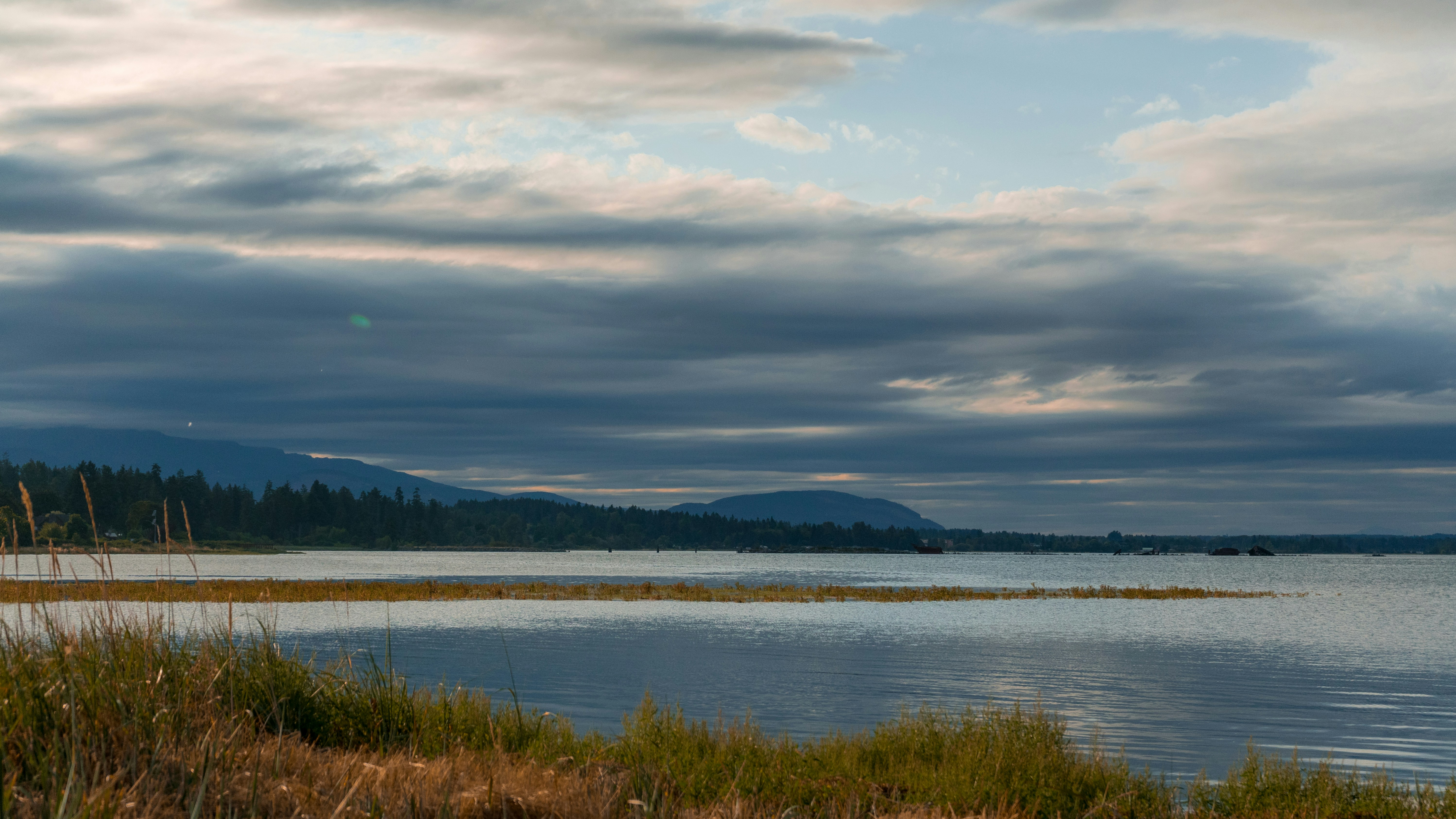 Photo by colefreeman