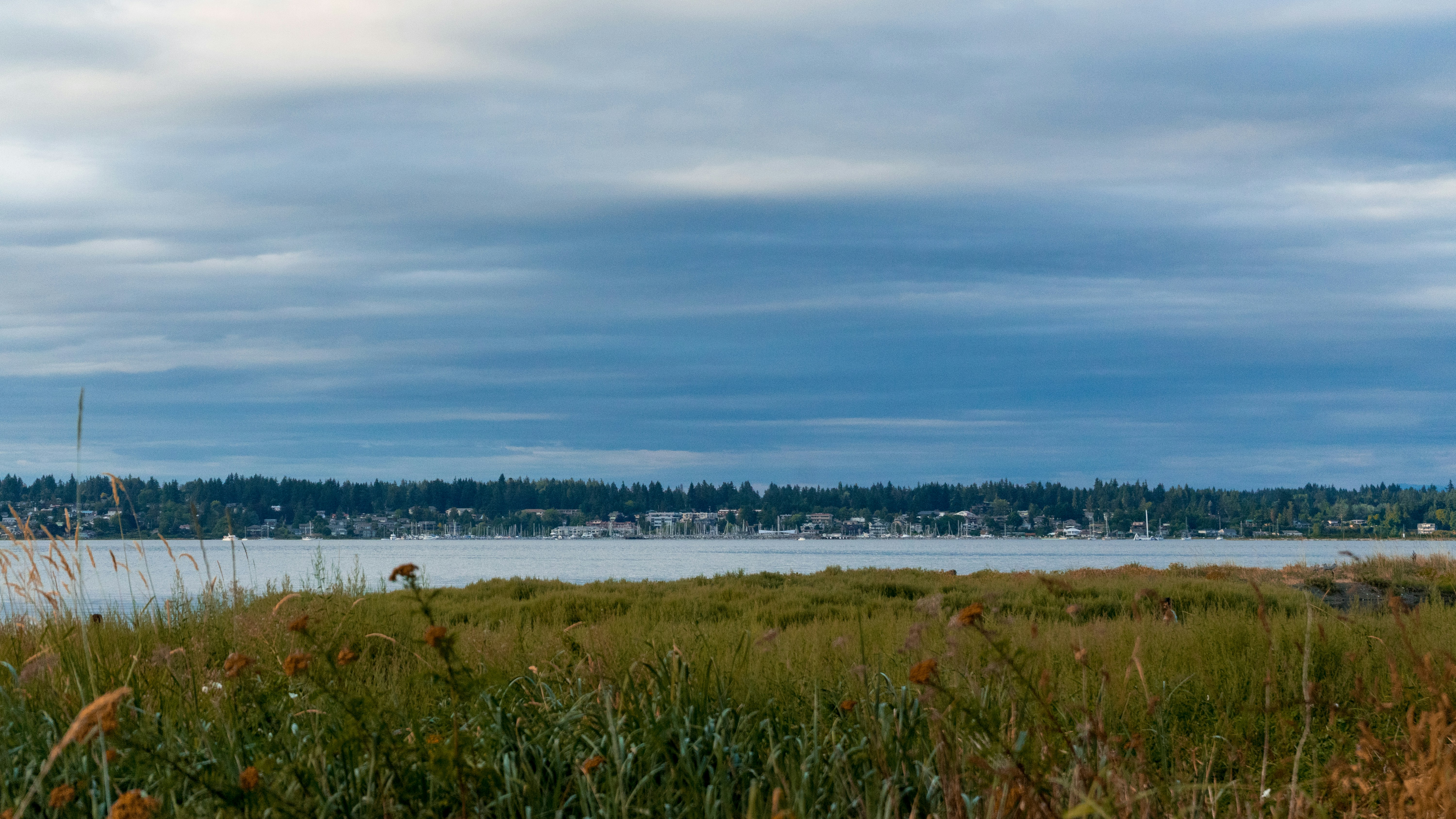 Photo by colefreeman