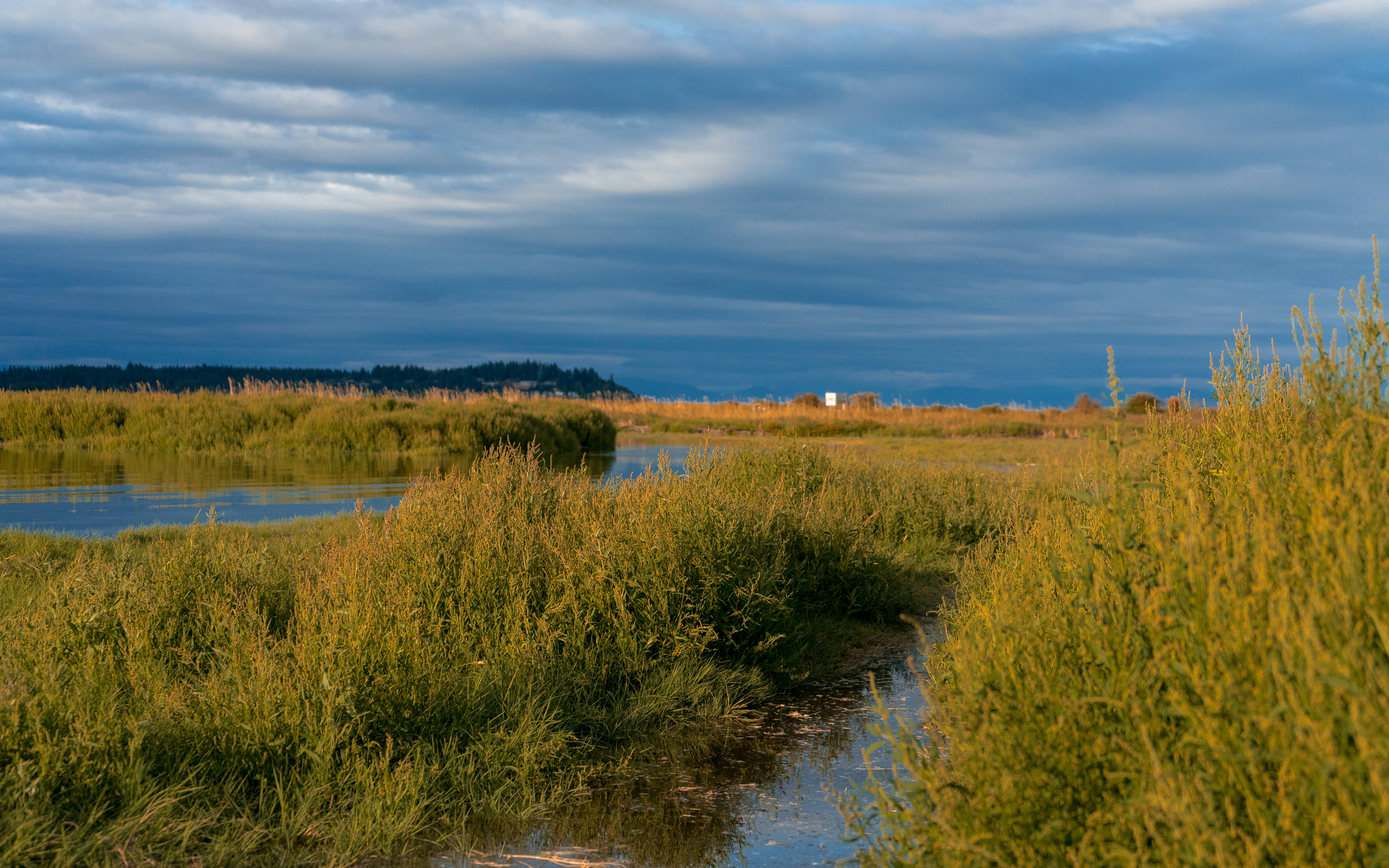 Photo by colefreeman