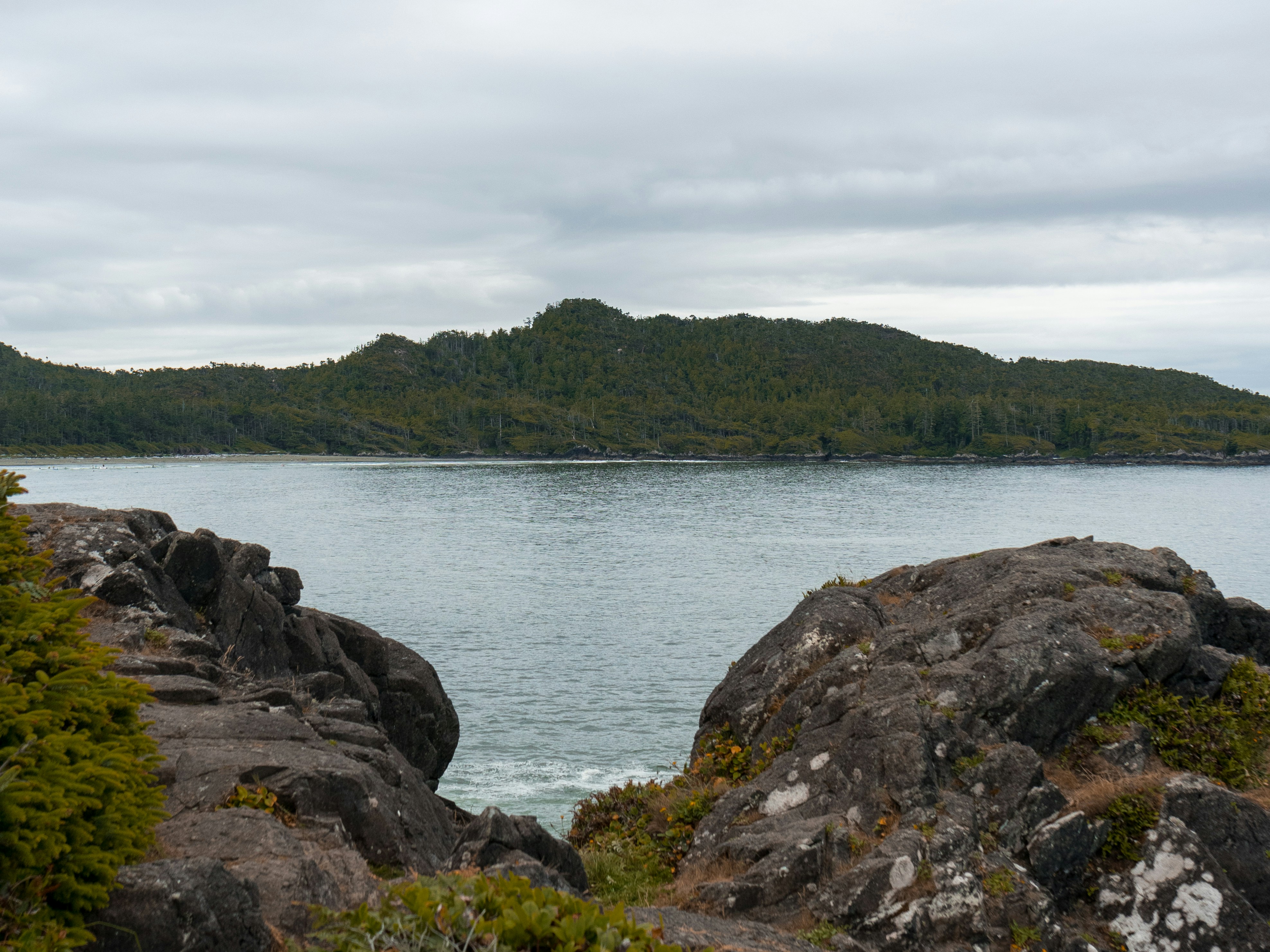 Photo by colefreeman