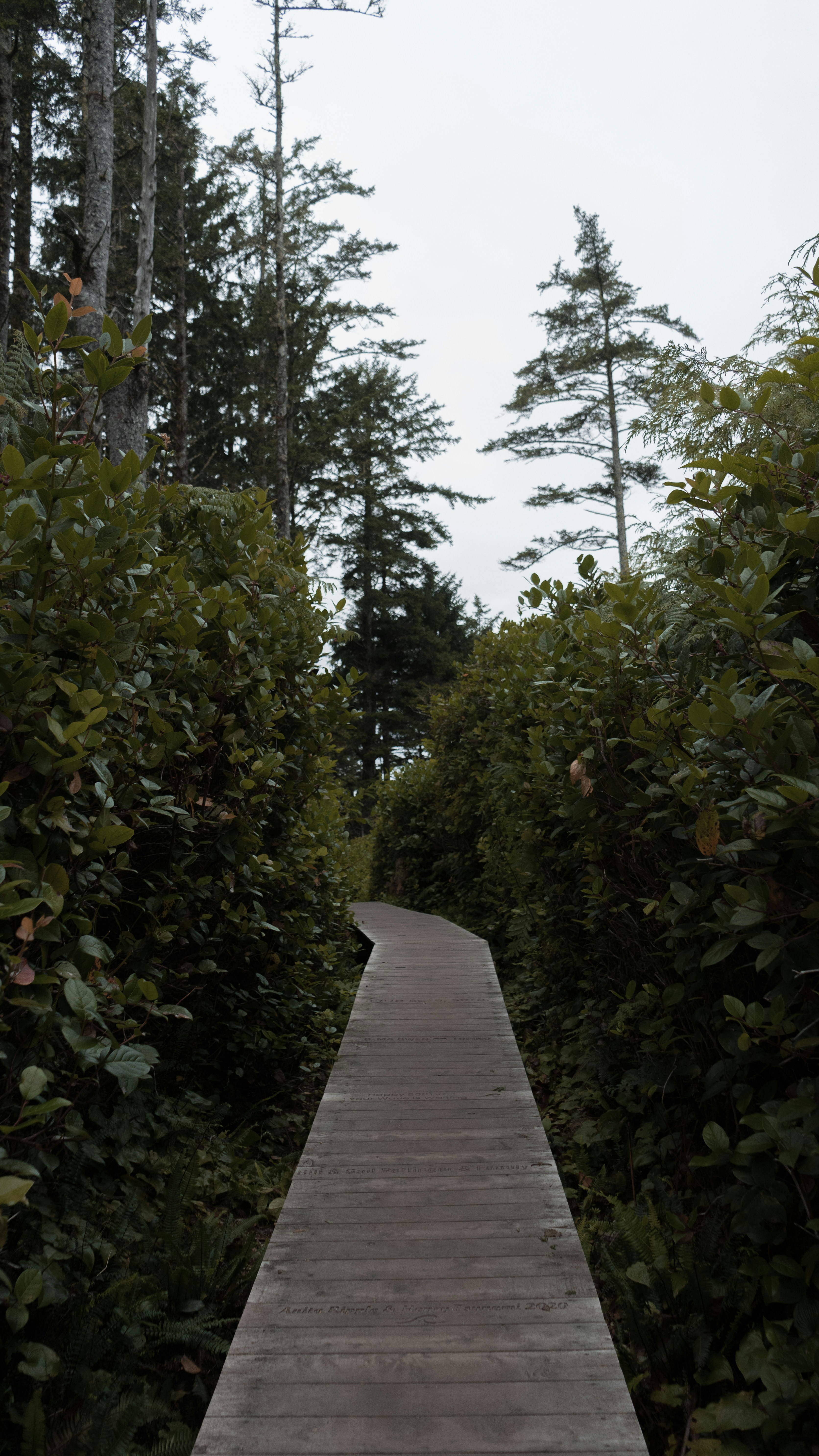 Photo by colefreeman