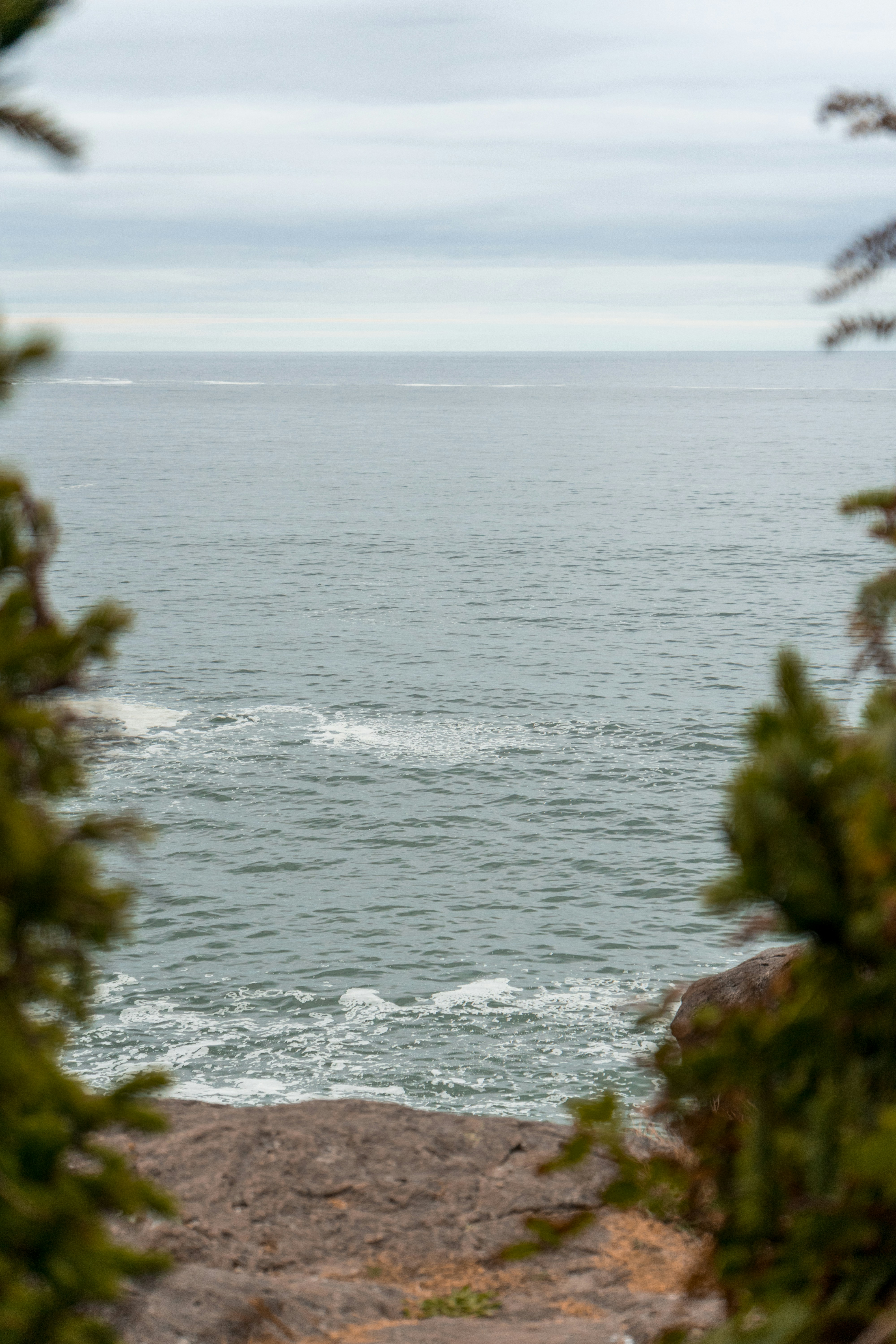 Photo by colefreeman