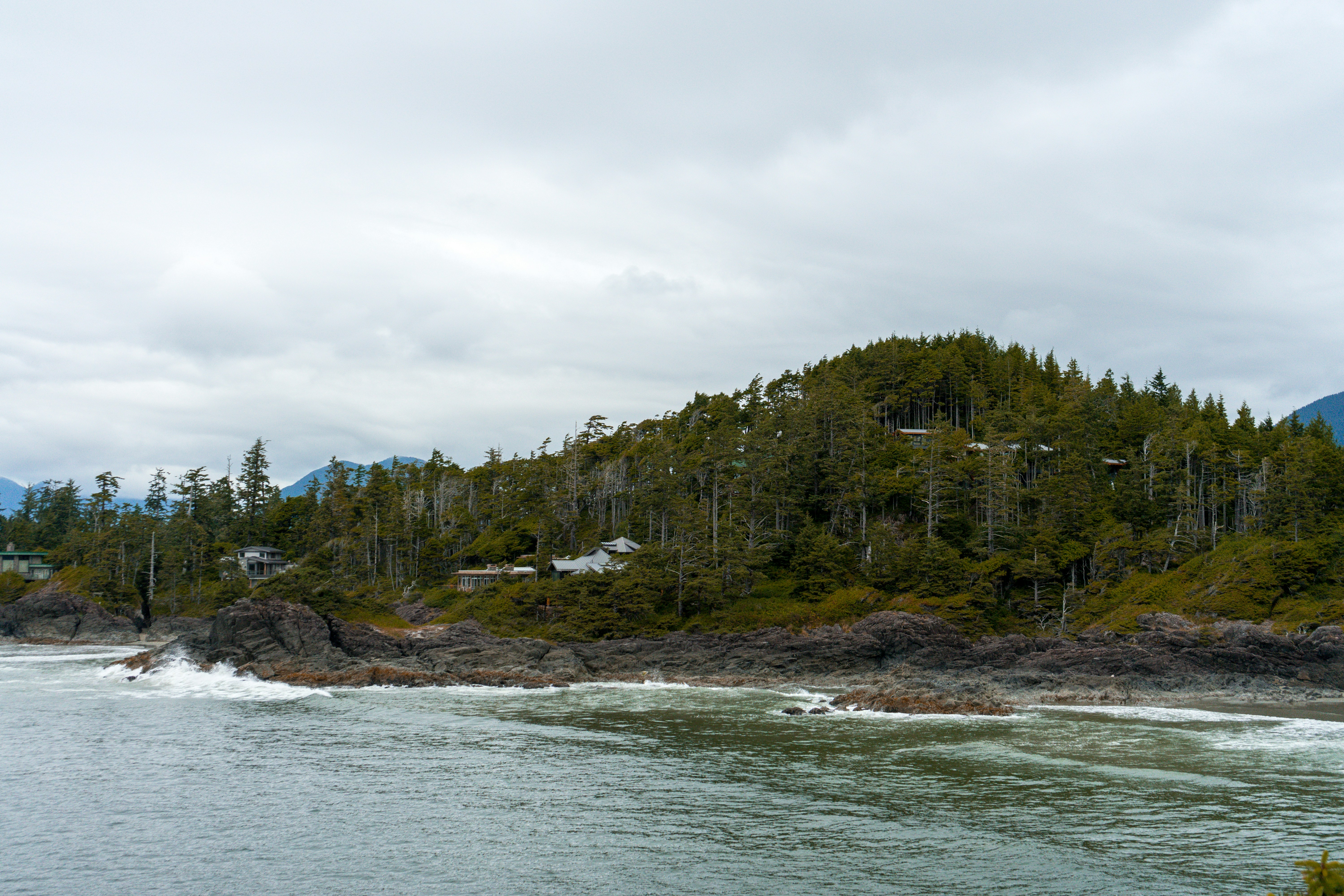 Photo by colefreeman