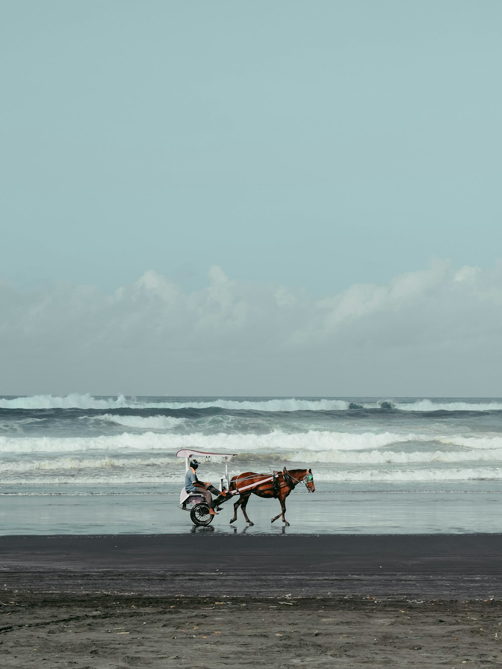 2 brown horses running on beach during daytime