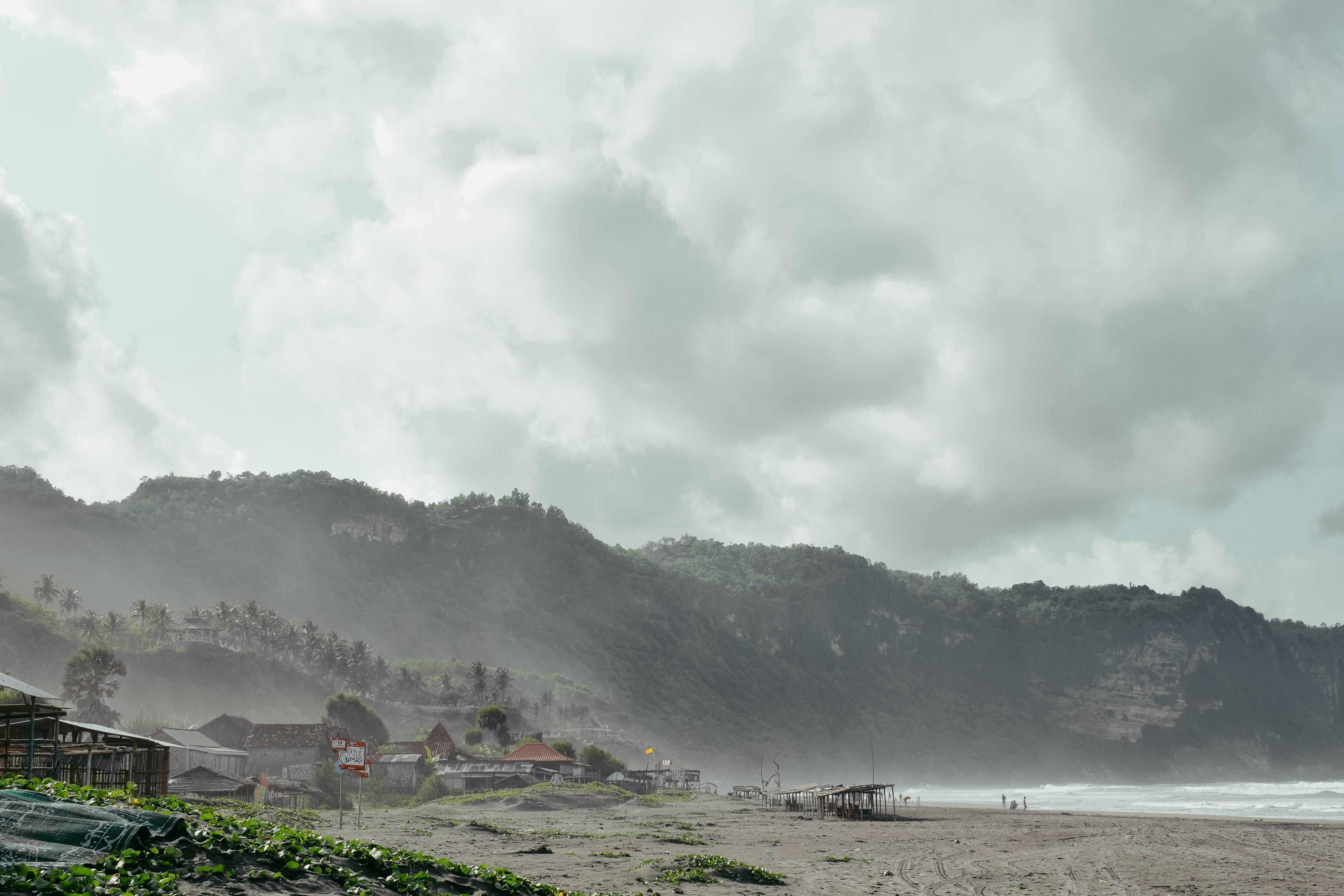people on beach during daytime
