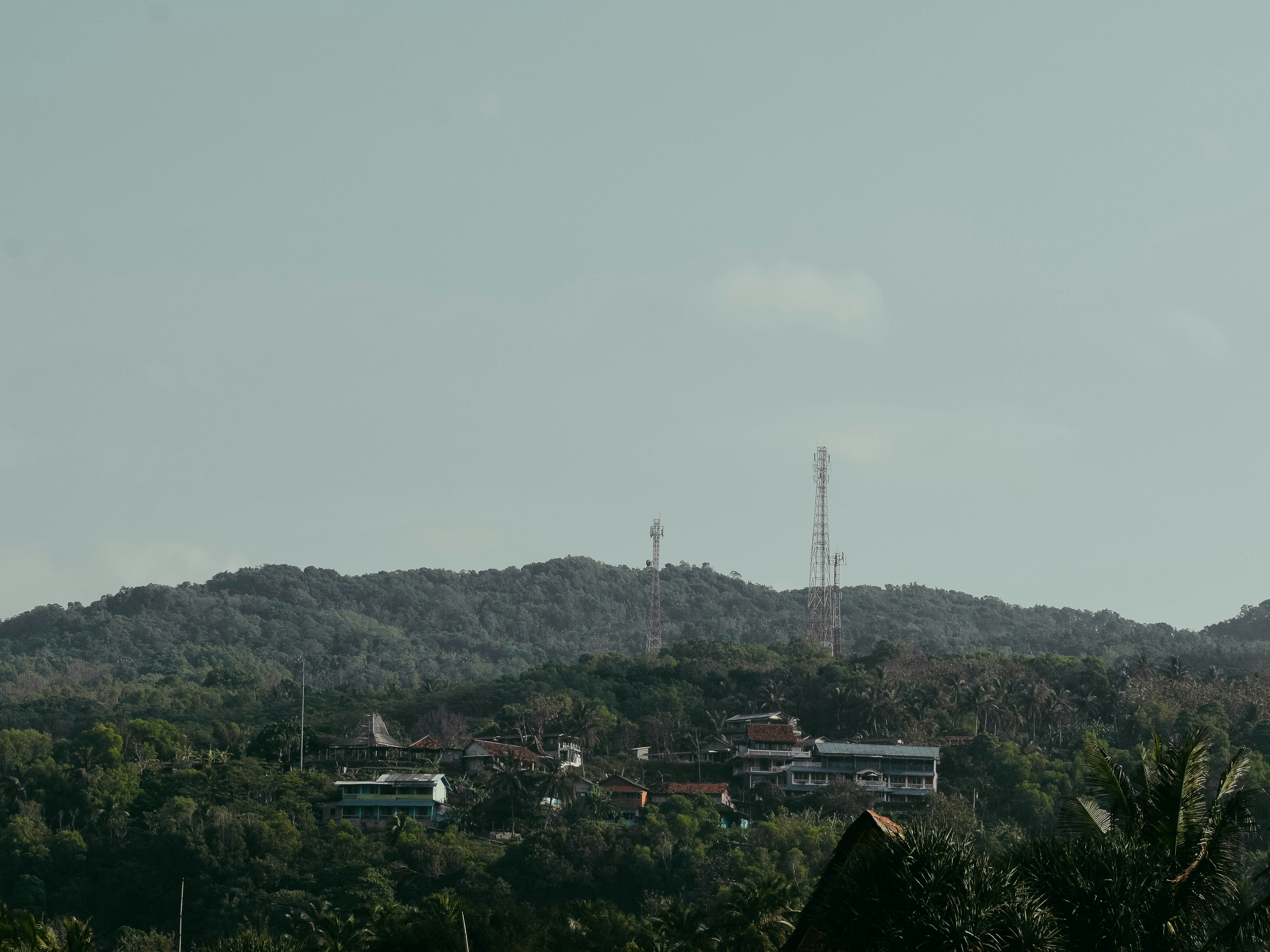green trees and mountain during daytime