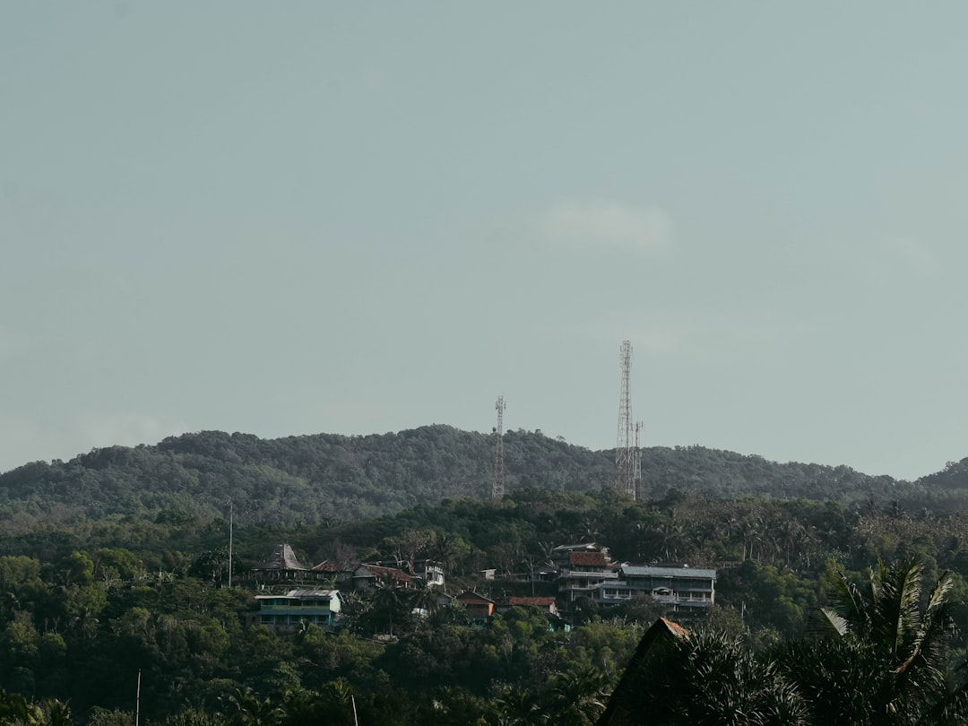 green trees and mountain during daytime