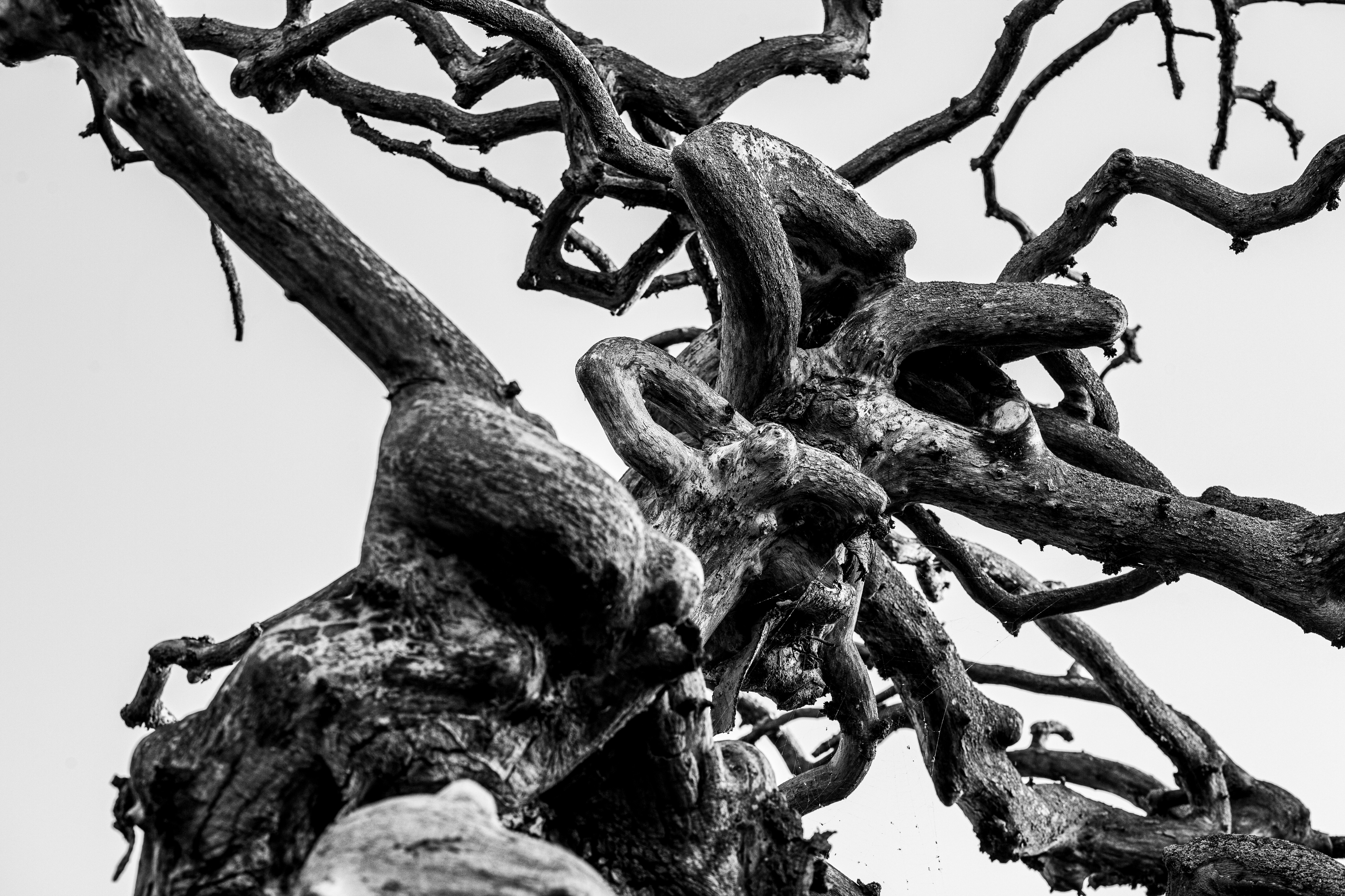 Photo by wilhelmgunkel