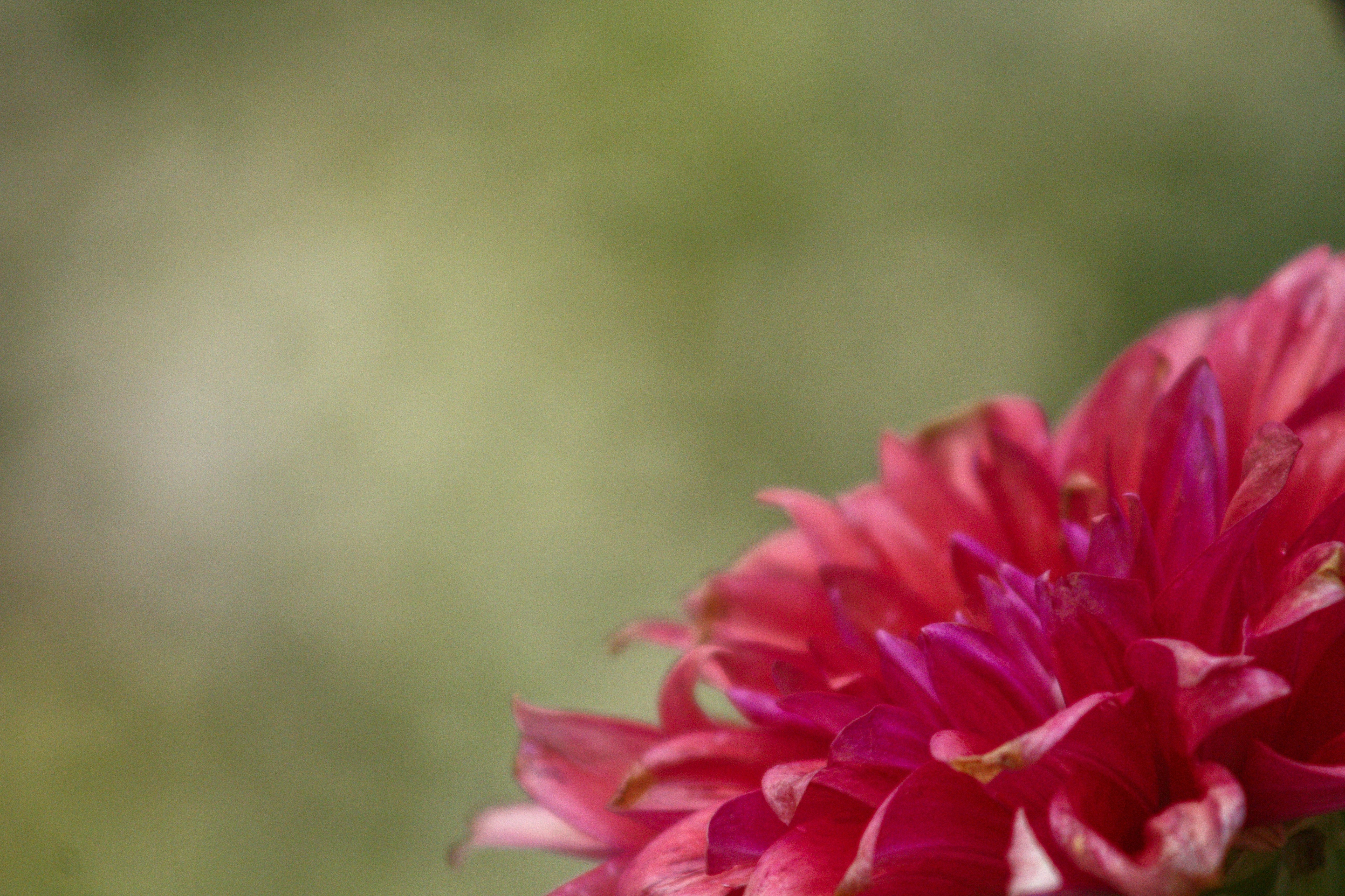 Photo by joshua_hoehne