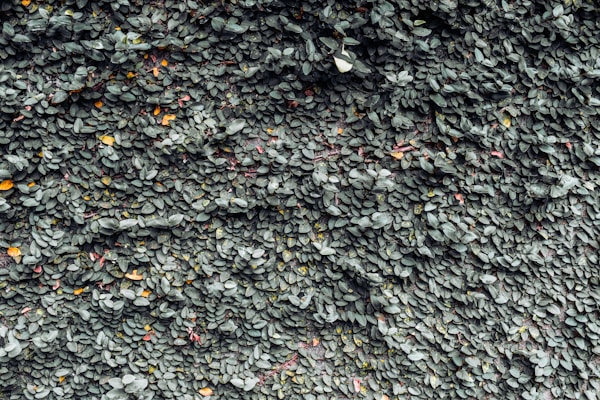 Recycled Aggregate Concrete